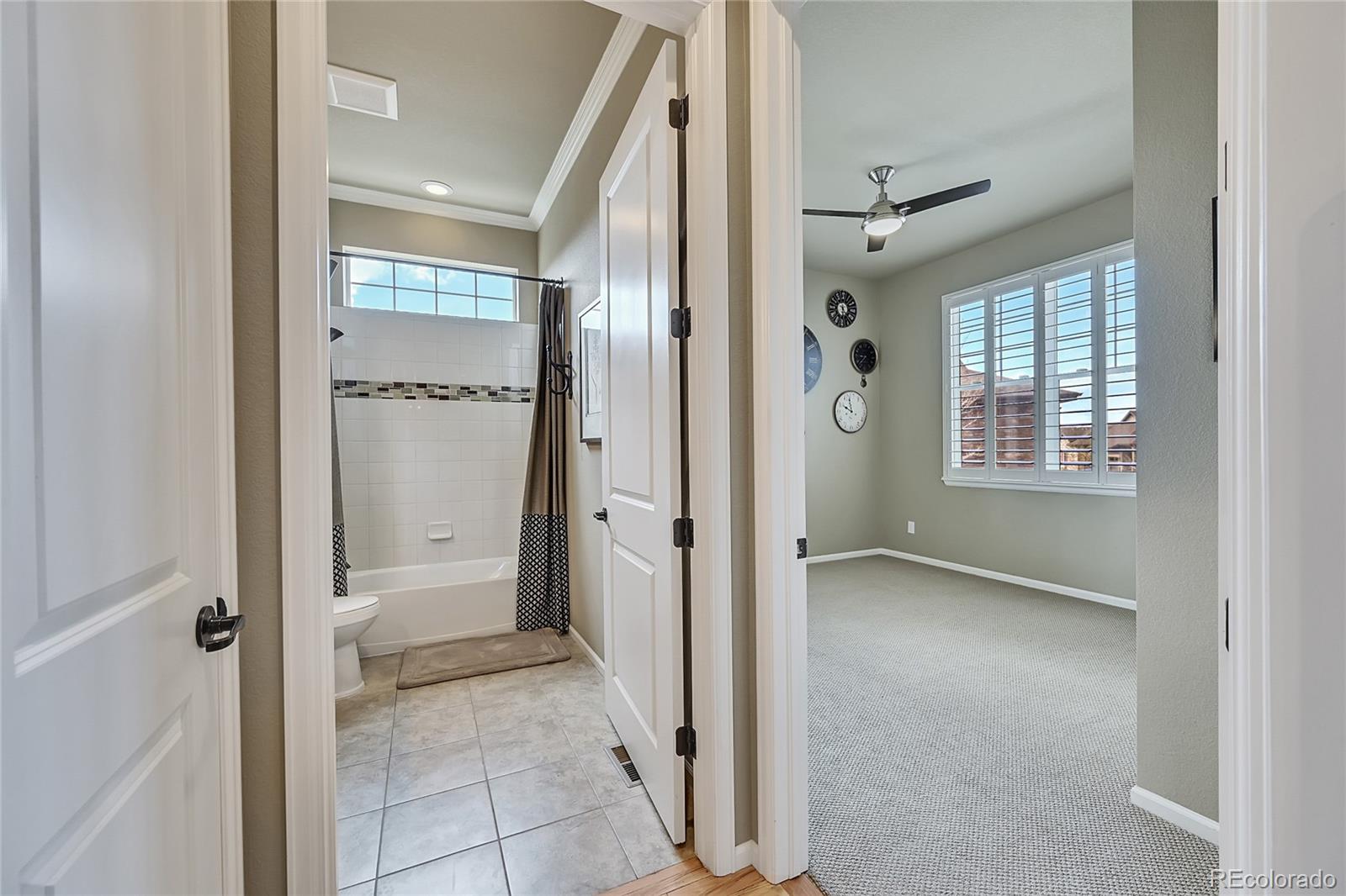 MLS Image #22 for 3545  new haven circle,castle rock, Colorado