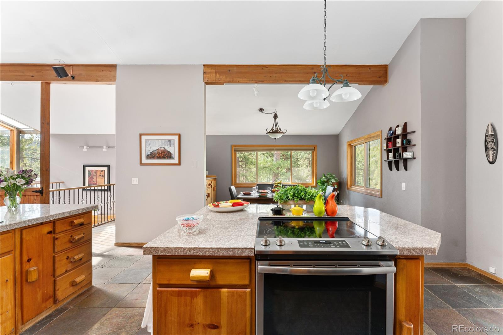 MLS Image #15 for 6926 s columbine road,evergreen, Colorado