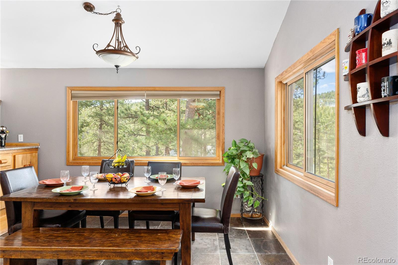 MLS Image #18 for 6926 s columbine road,evergreen, Colorado