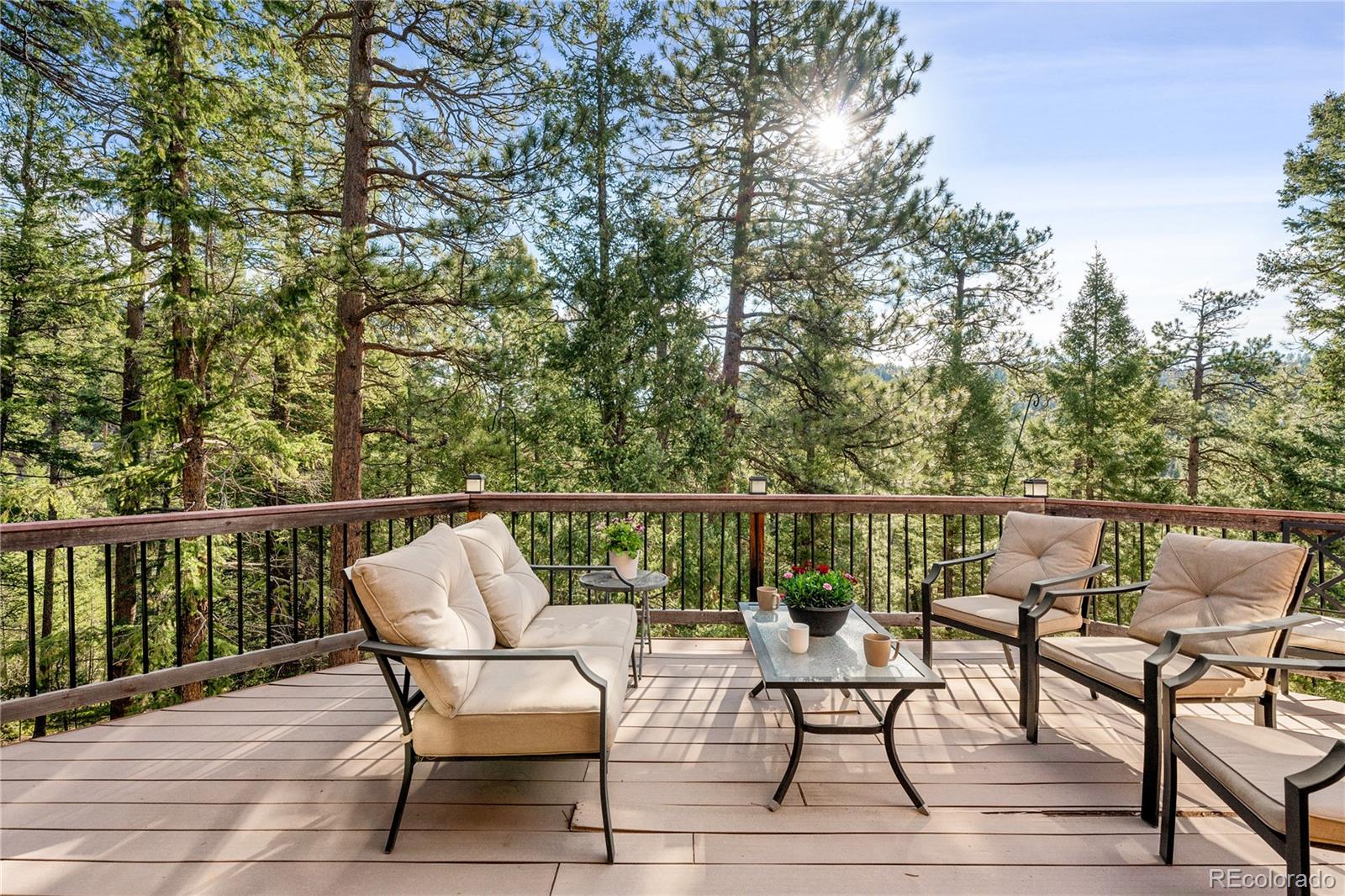 MLS Image #5 for 6926 s columbine road,evergreen, Colorado