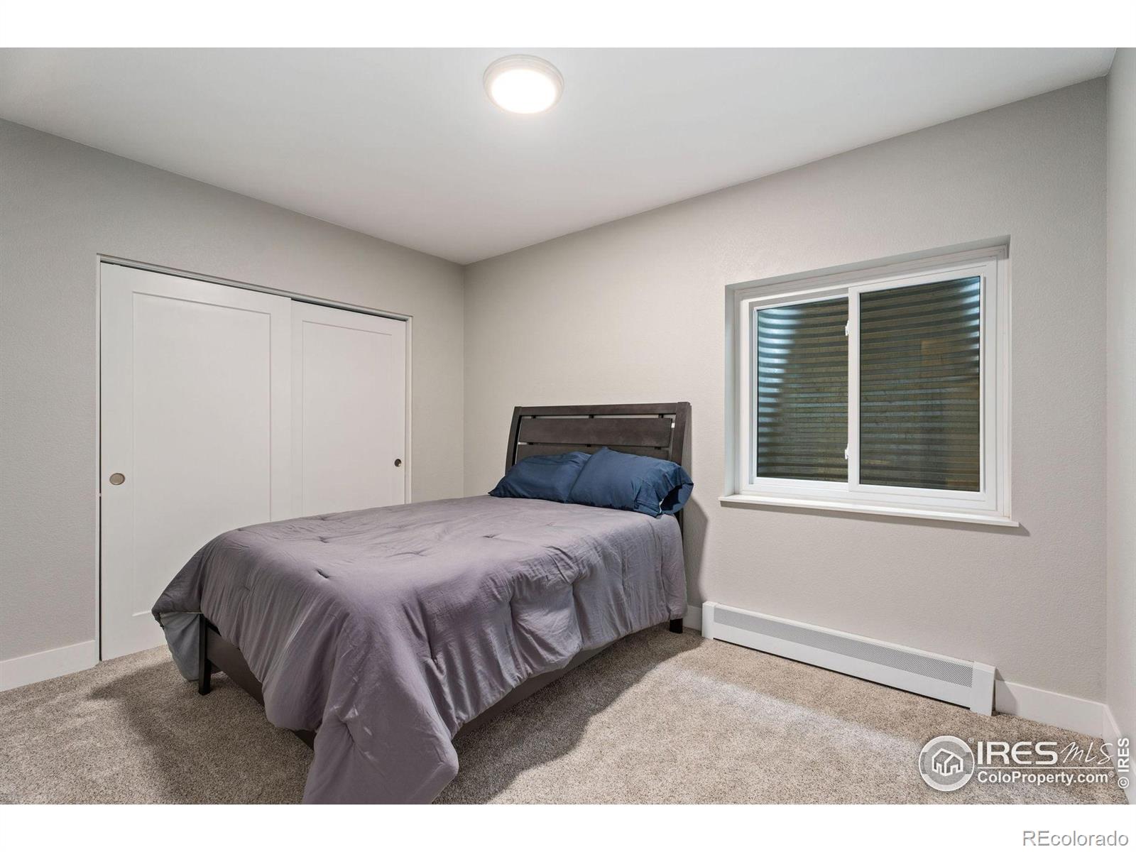 MLS Image #17 for 2833  zirkels court,fort collins, Colorado