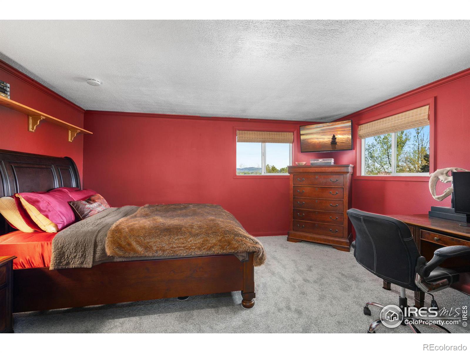 MLS Image #16 for 1313  nadine court,loveland, Colorado