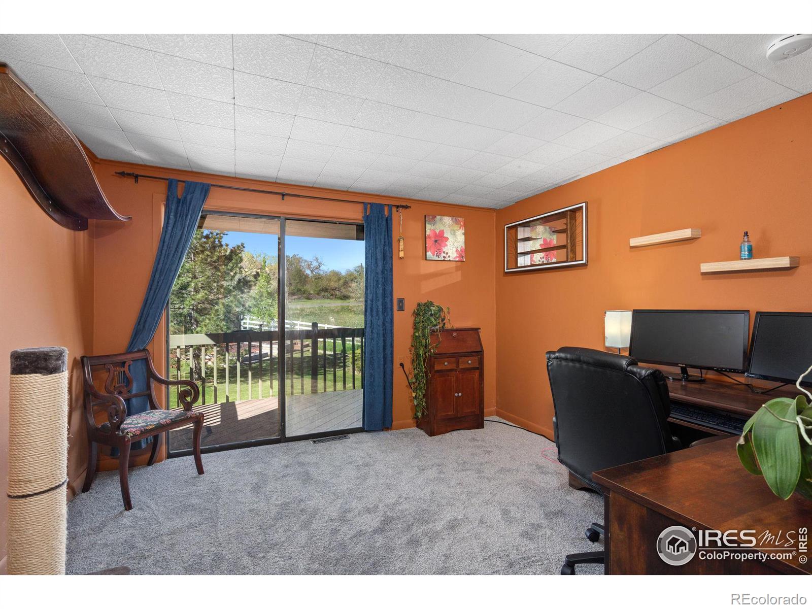 MLS Image #21 for 1313  nadine court,loveland, Colorado