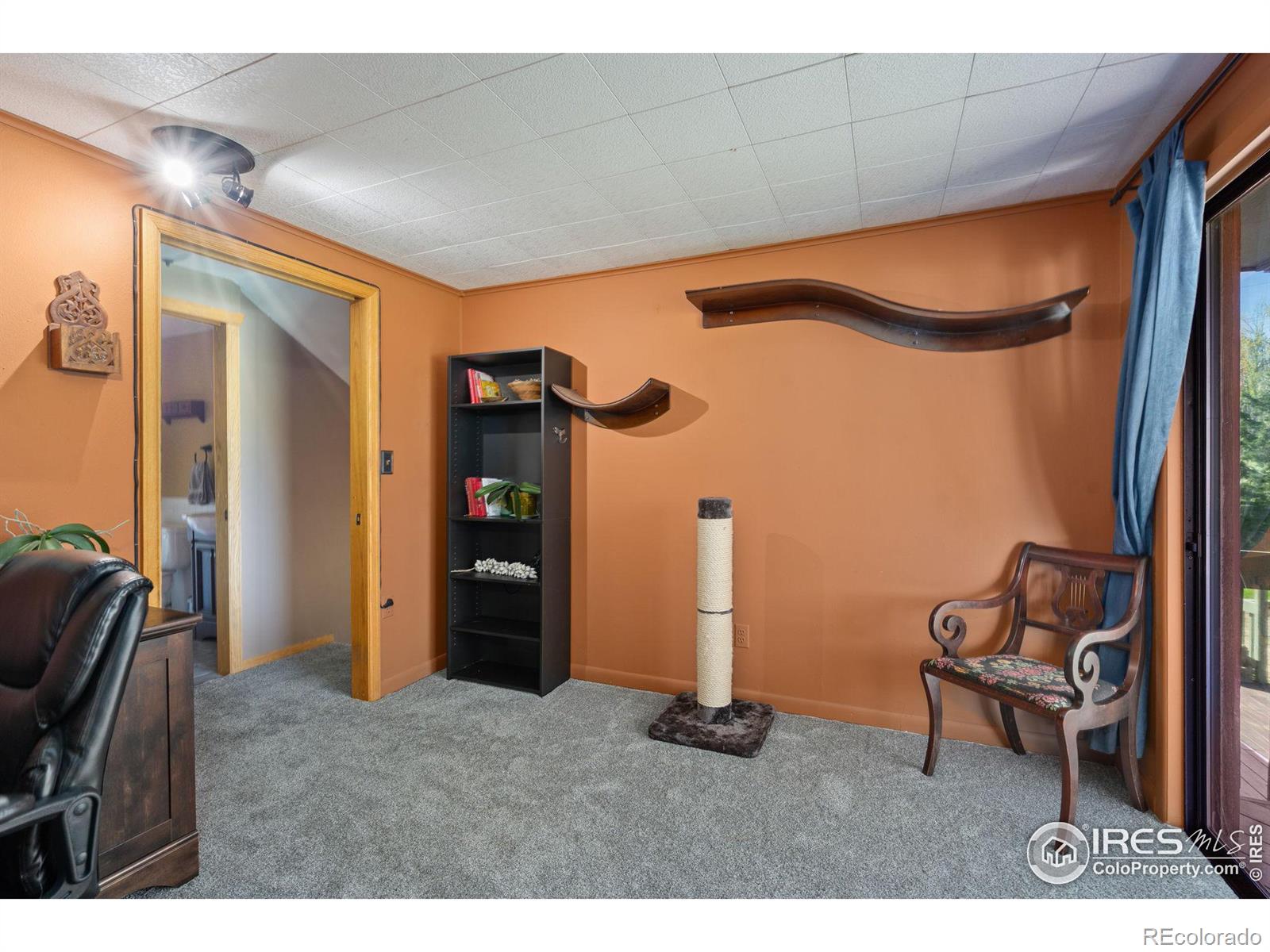 MLS Image #22 for 1313  nadine court,loveland, Colorado