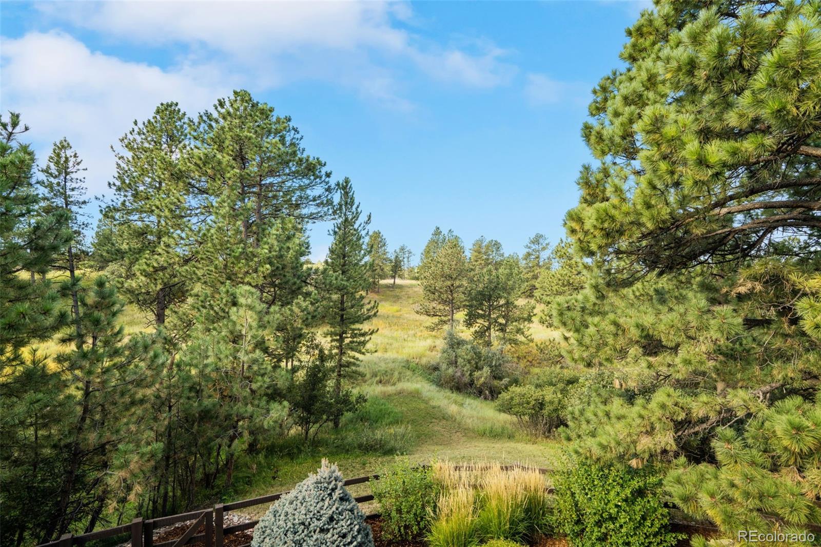 MLS Image #37 for 8972  scenic pine drive,parker, Colorado