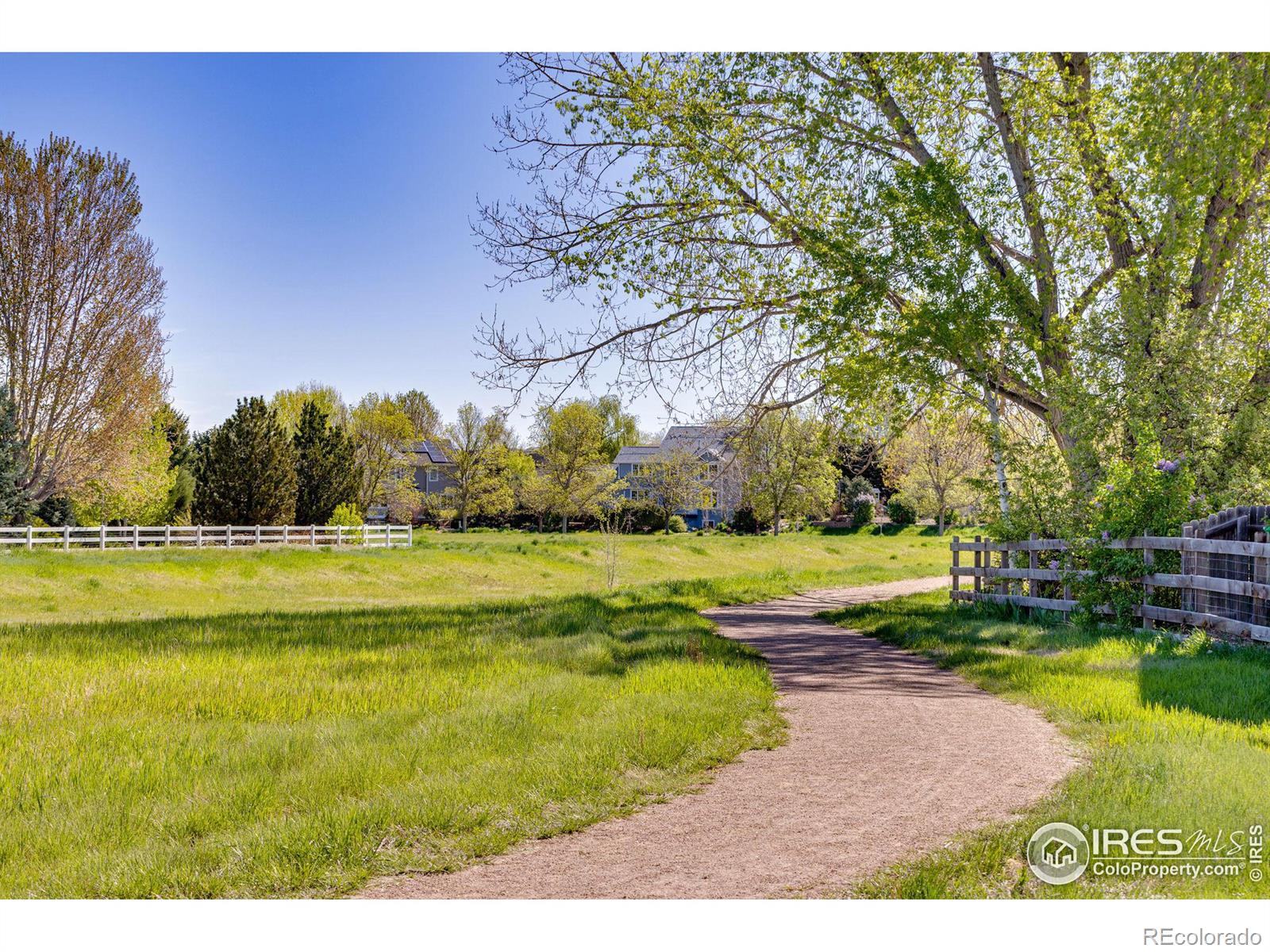 MLS Image #13 for 1414  banner circle,erie, Colorado
