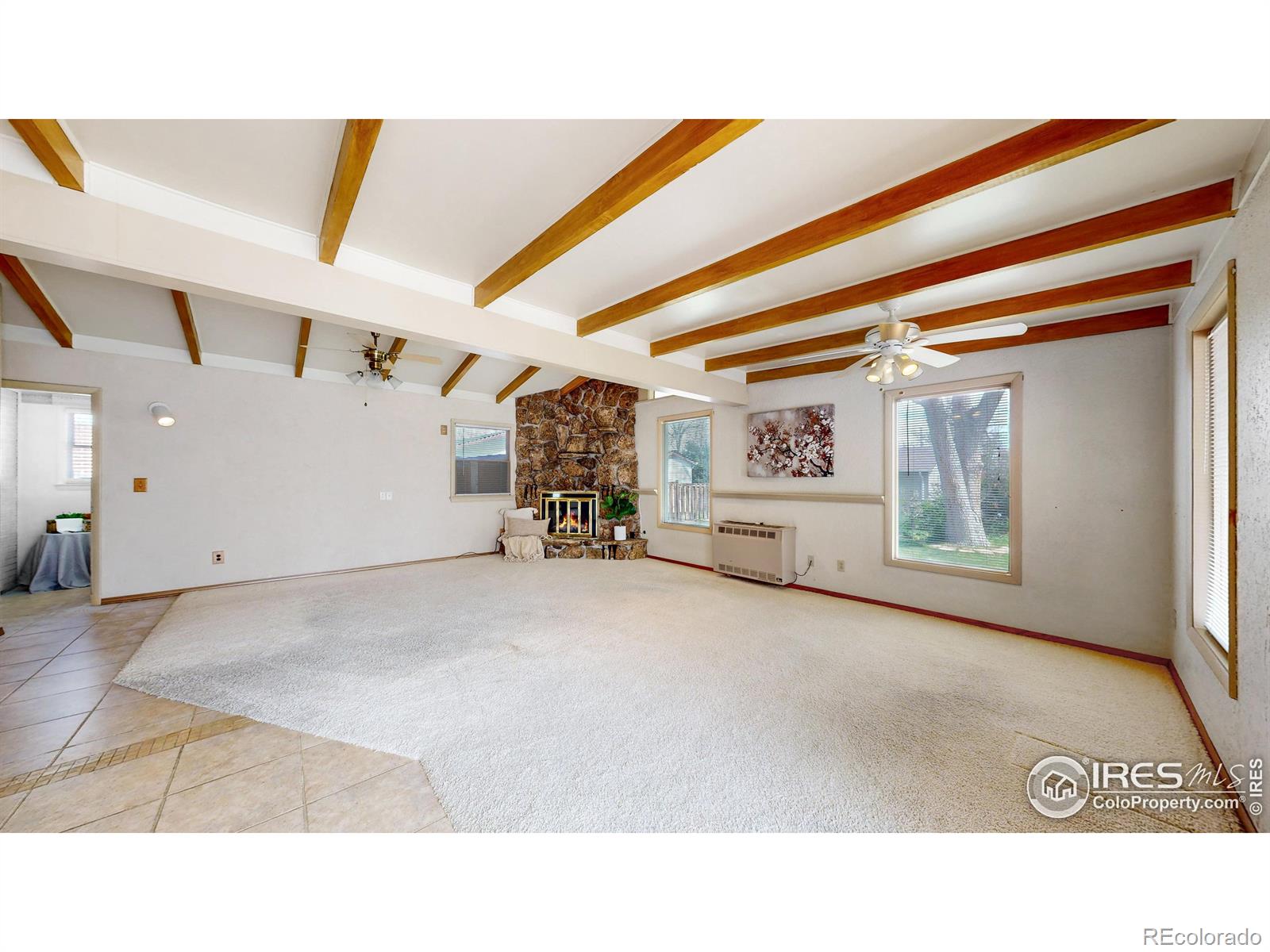 MLS Image #9 for 1036  briarwood road,fort collins, Colorado