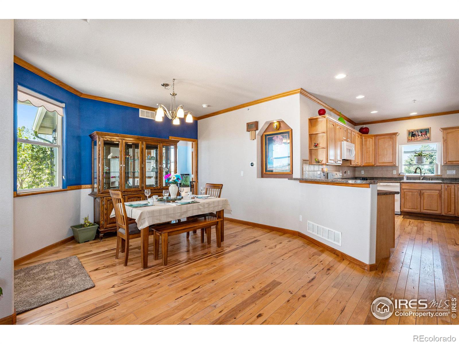 MLS Image #10 for 14440  shadow wood court,brighton, Colorado