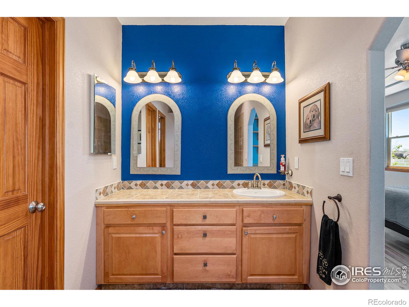 MLS Image #20 for 14440  shadow wood court,brighton, Colorado