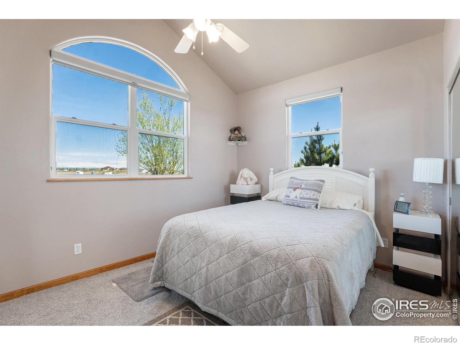 MLS Image #21 for 14440  shadow wood court,brighton, Colorado