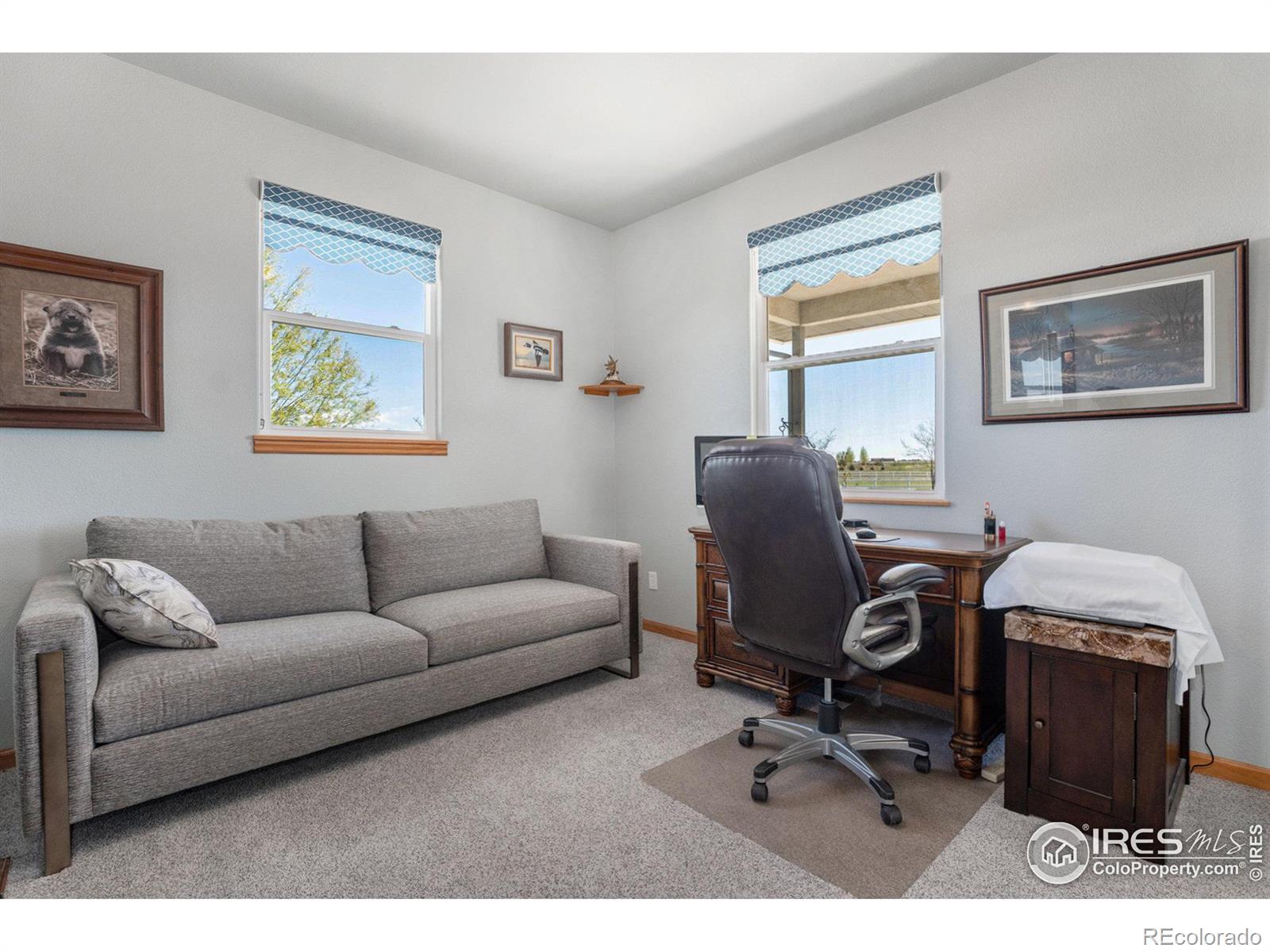 MLS Image #22 for 14440  shadow wood court,brighton, Colorado