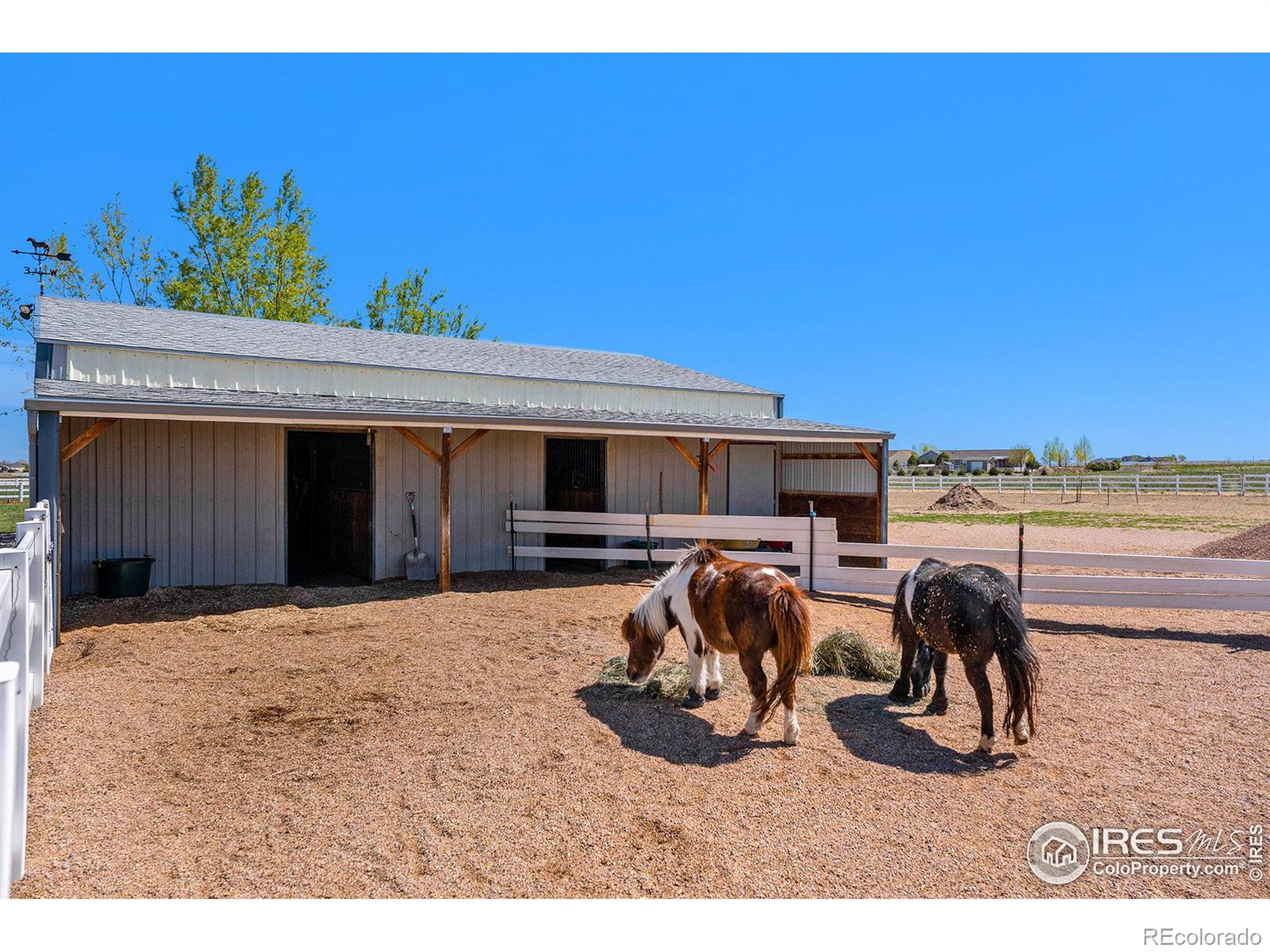 MLS Image #27 for 14440  shadow wood court,brighton, Colorado