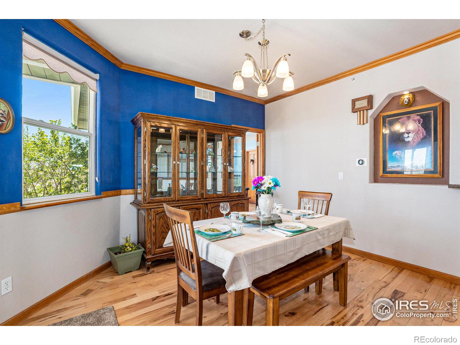 MLS Image #8 for 14440  shadow wood court,brighton, Colorado