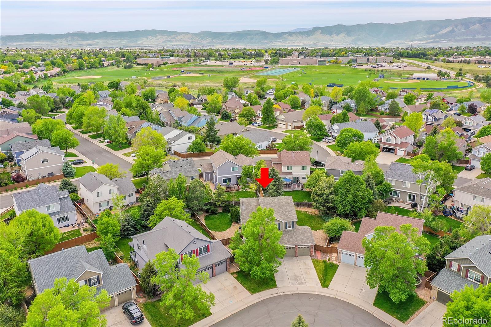 MLS Image #38 for 9773  mulberry street,highlands ranch, Colorado