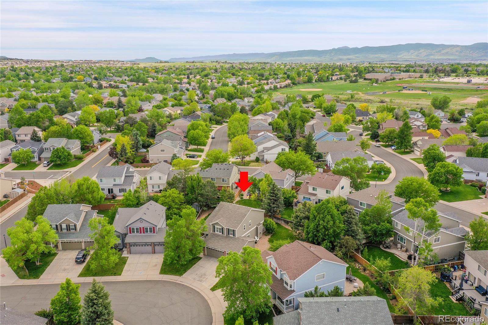 MLS Image #39 for 9773  mulberry street,highlands ranch, Colorado