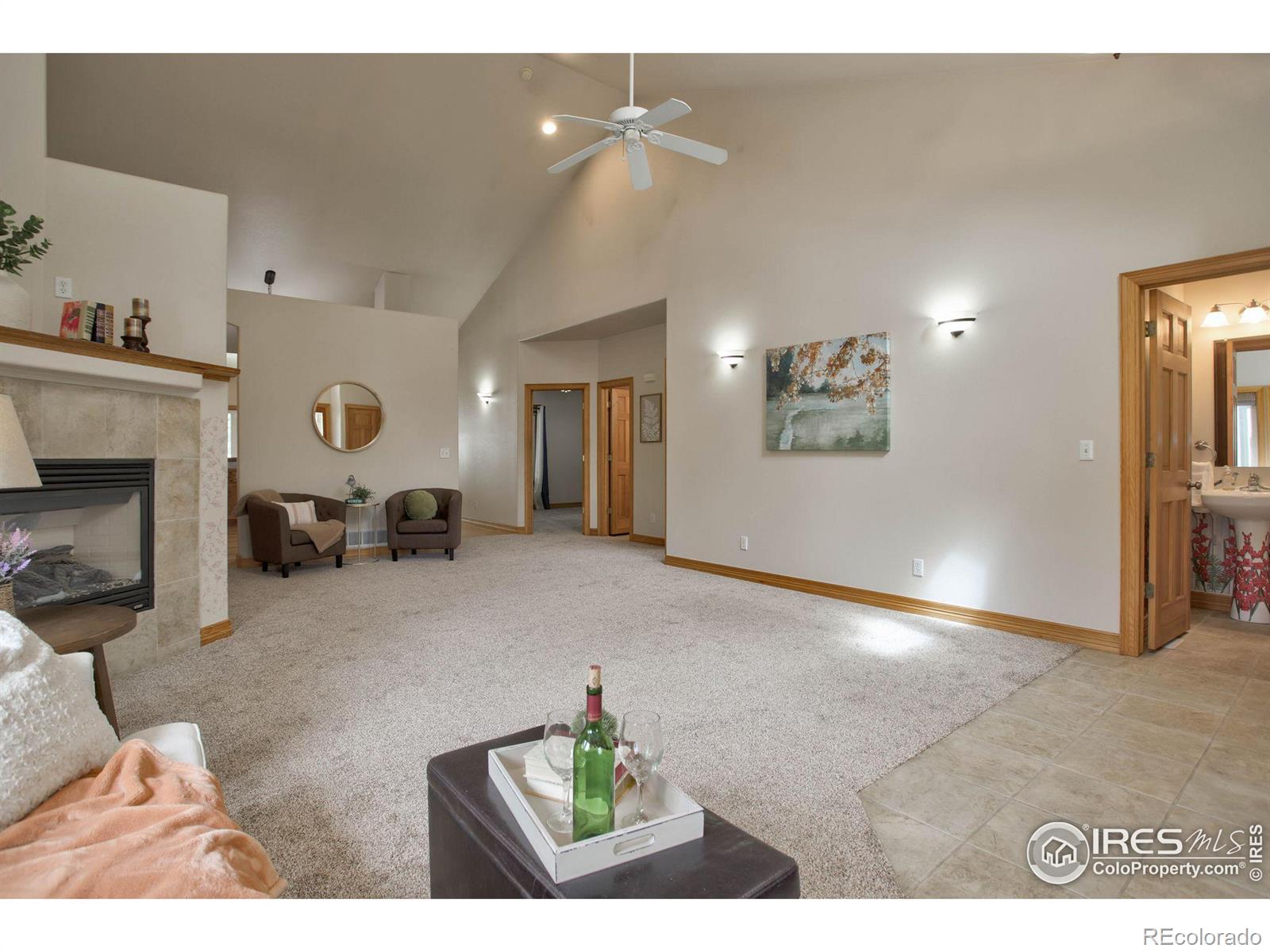 MLS Image #10 for 565  mount massive street,berthoud, Colorado