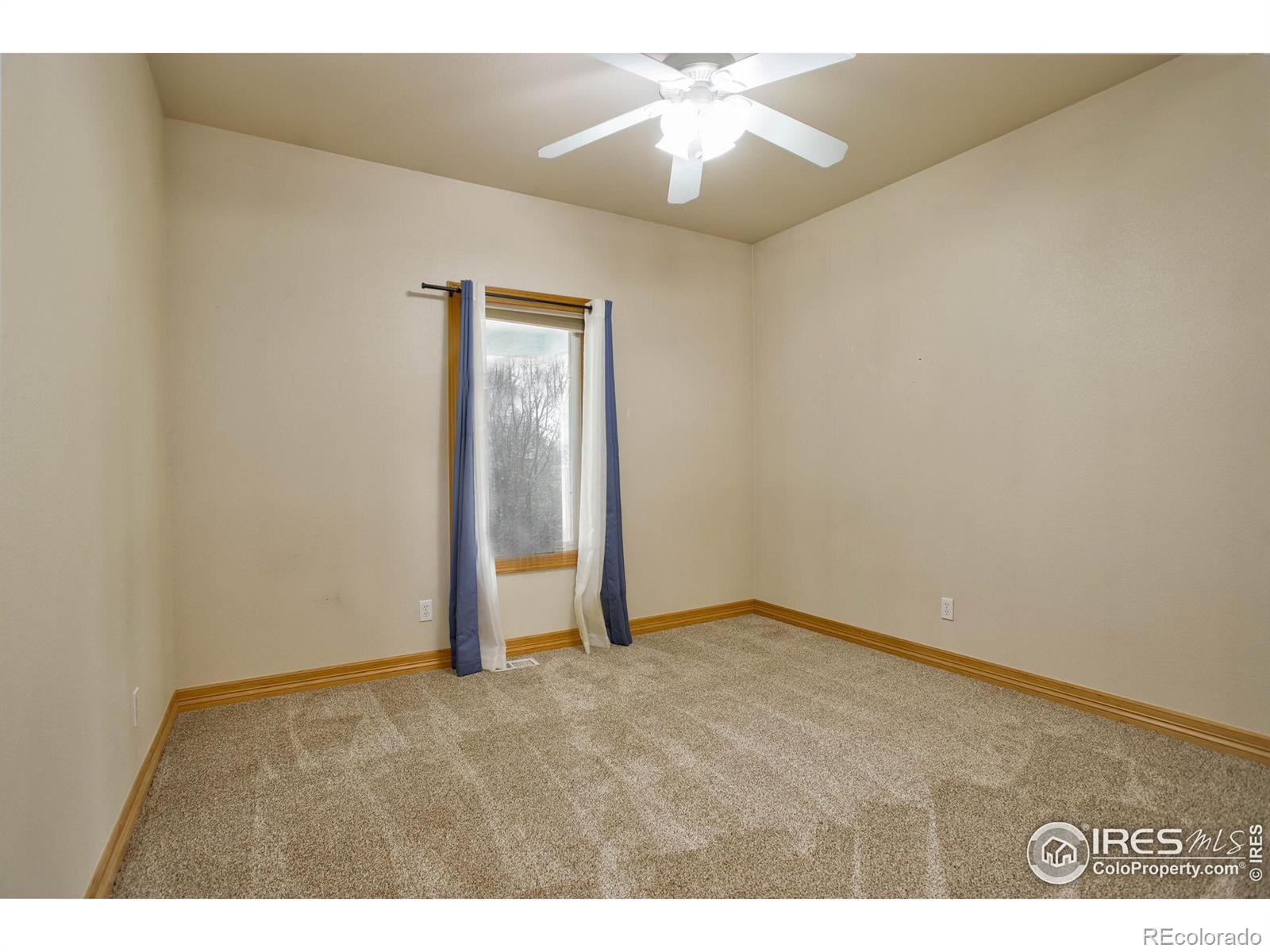 MLS Image #29 for 565  mount massive street,berthoud, Colorado