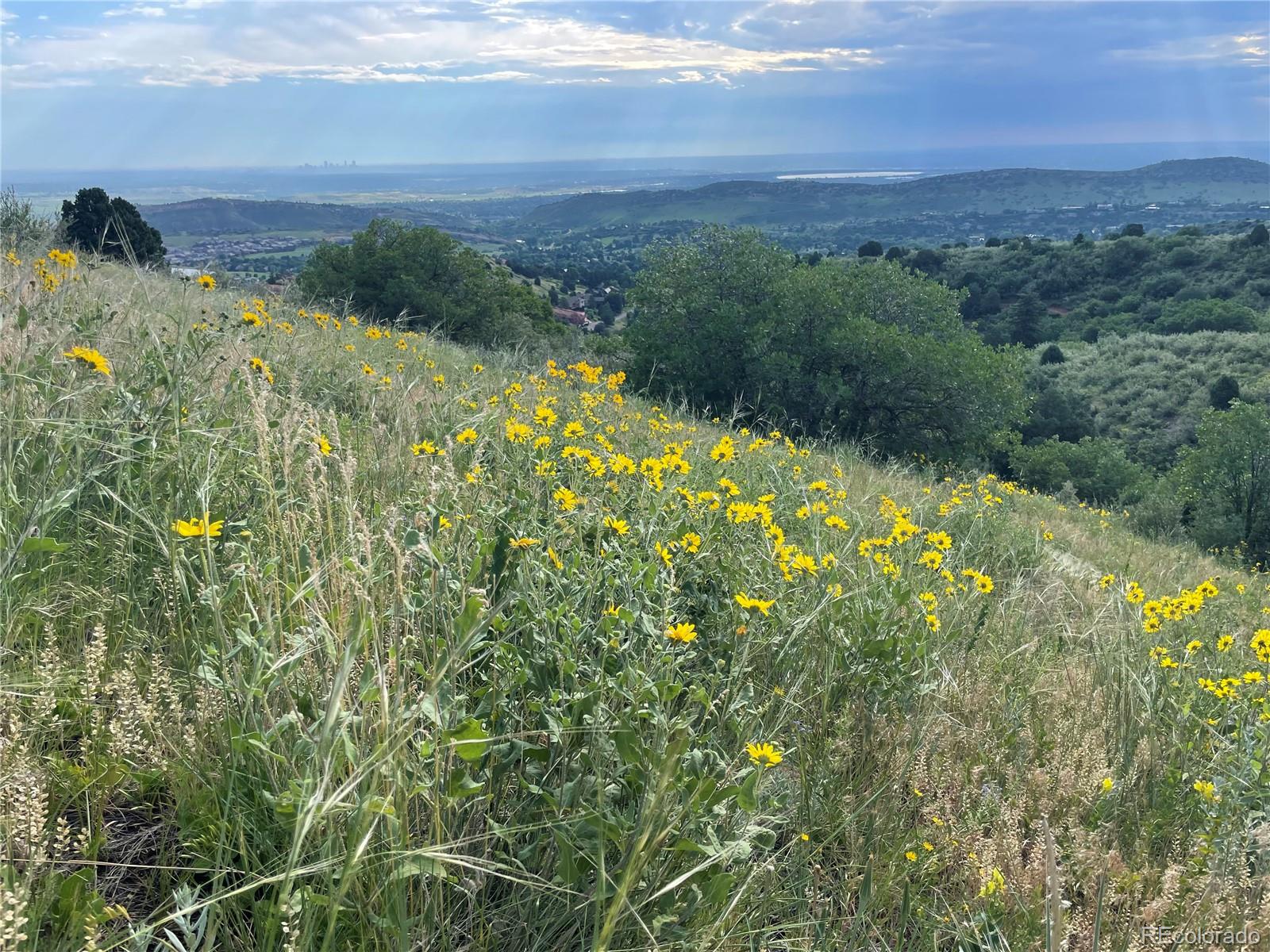 MLS Image #4 for 5413  coyote canyon way,morrison, Colorado