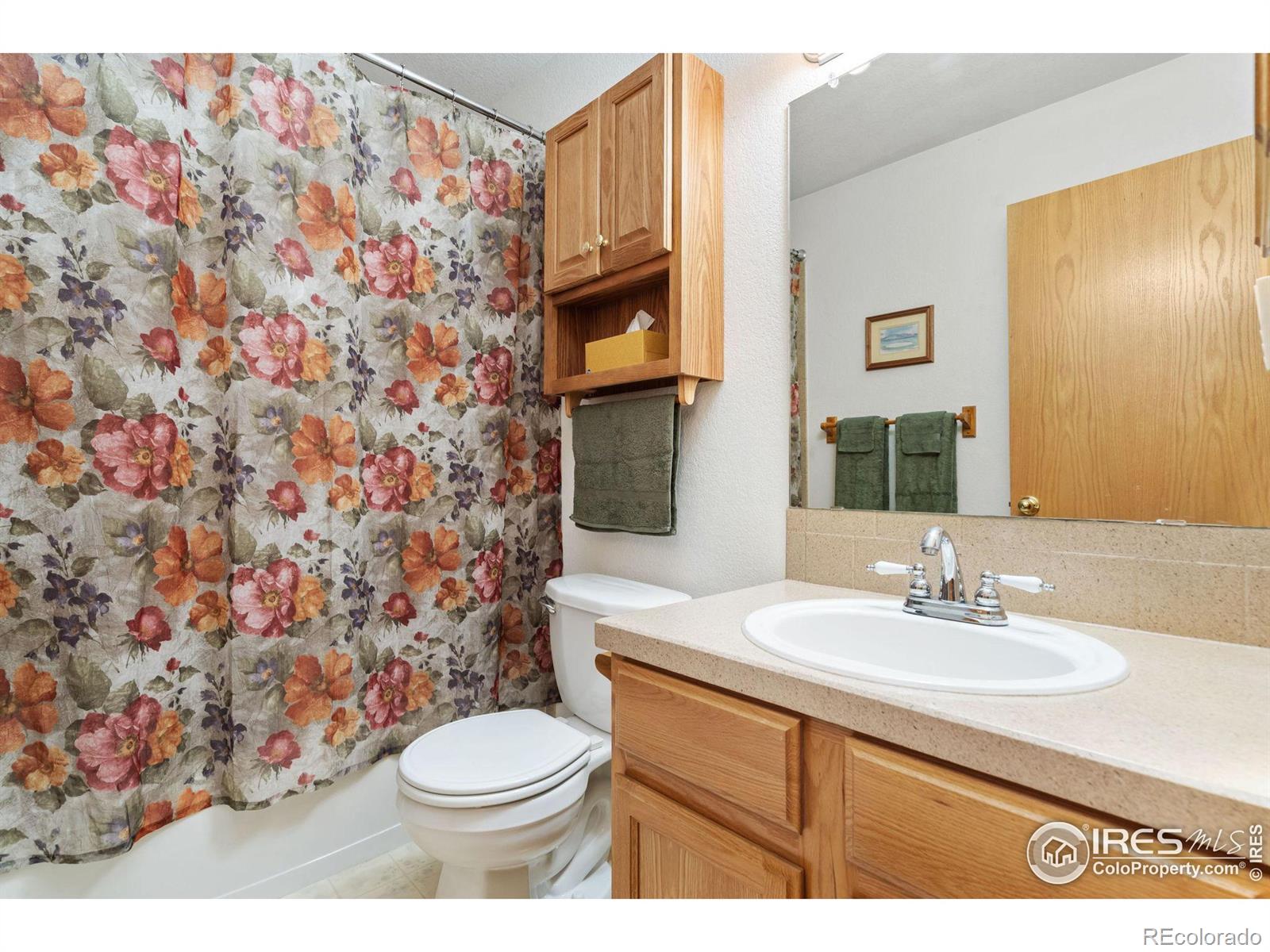 MLS Image #19 for 352  audrey drive,loveland, Colorado