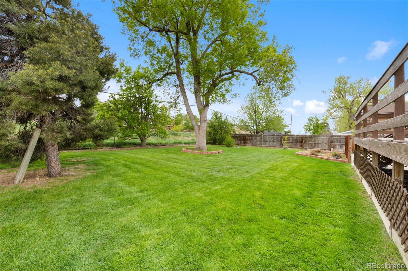 MLS Image #44 for 7437 s washington street,centennial, Colorado