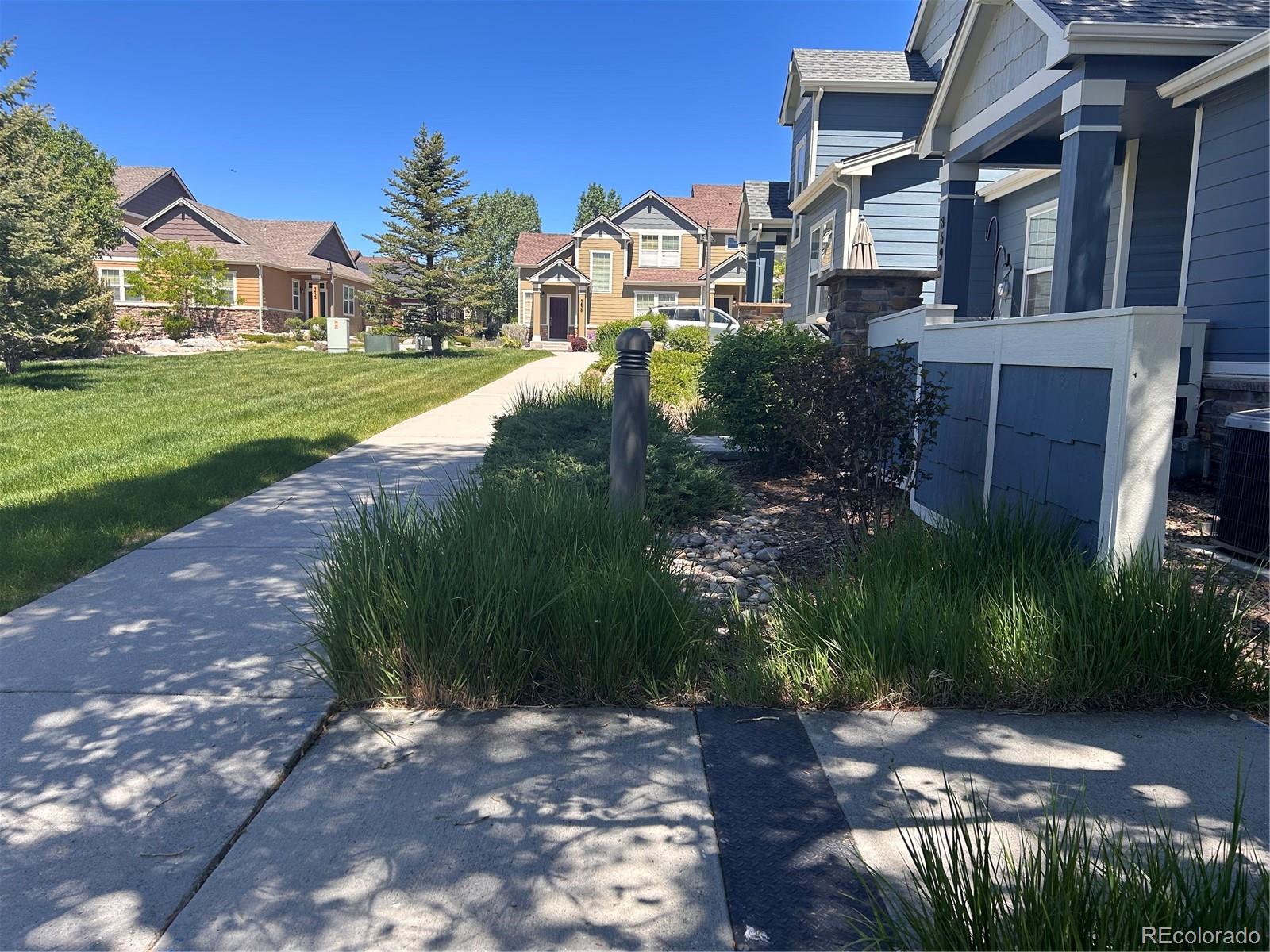 MLS Image #21 for 8682  ethan alley,colorado springs, Colorado
