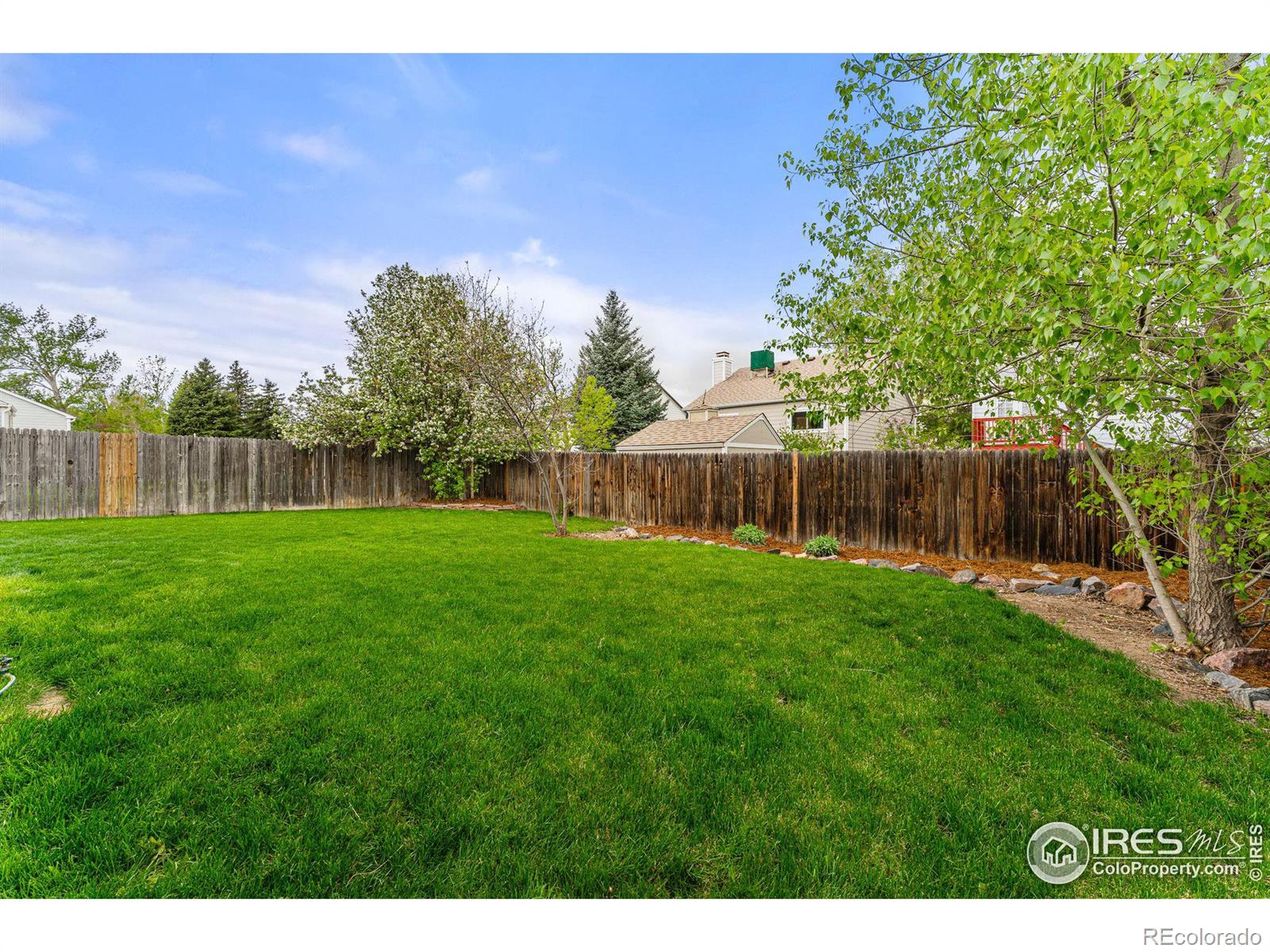 MLS Image #24 for 10583  robb drive,westminster, Colorado