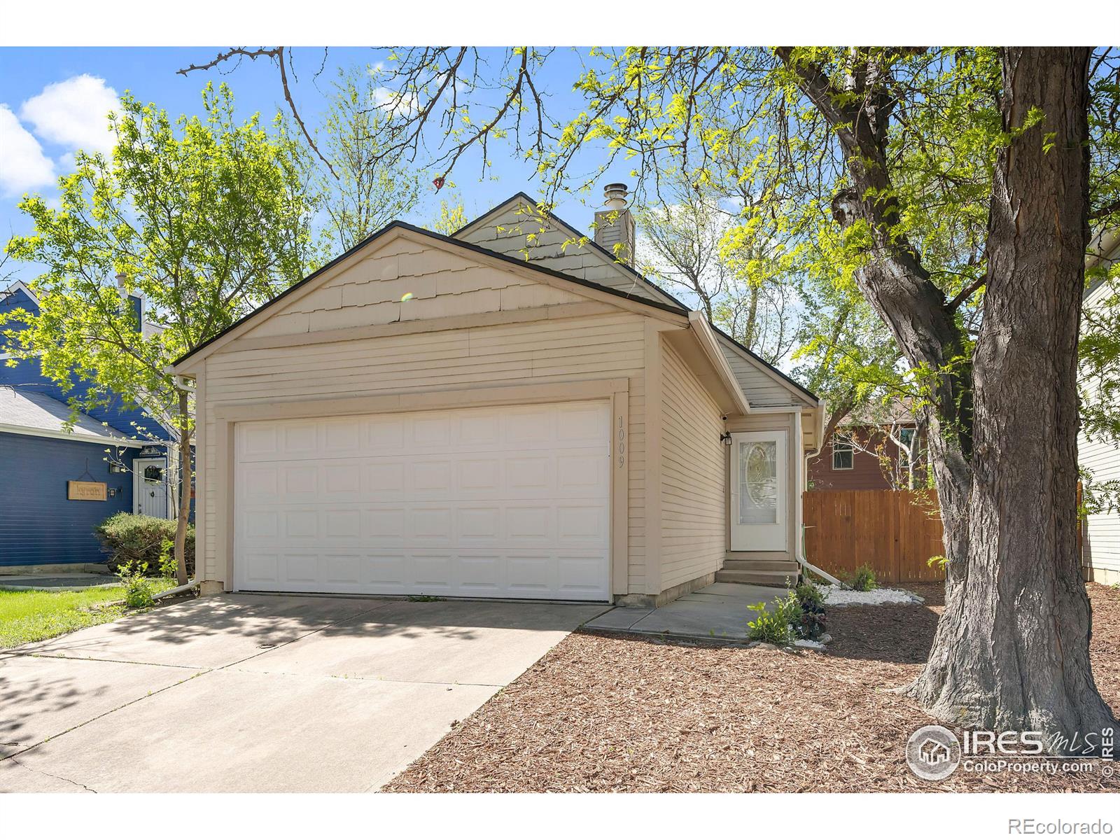 MLS Image #1 for 1009  townley circle,longmont, Colorado