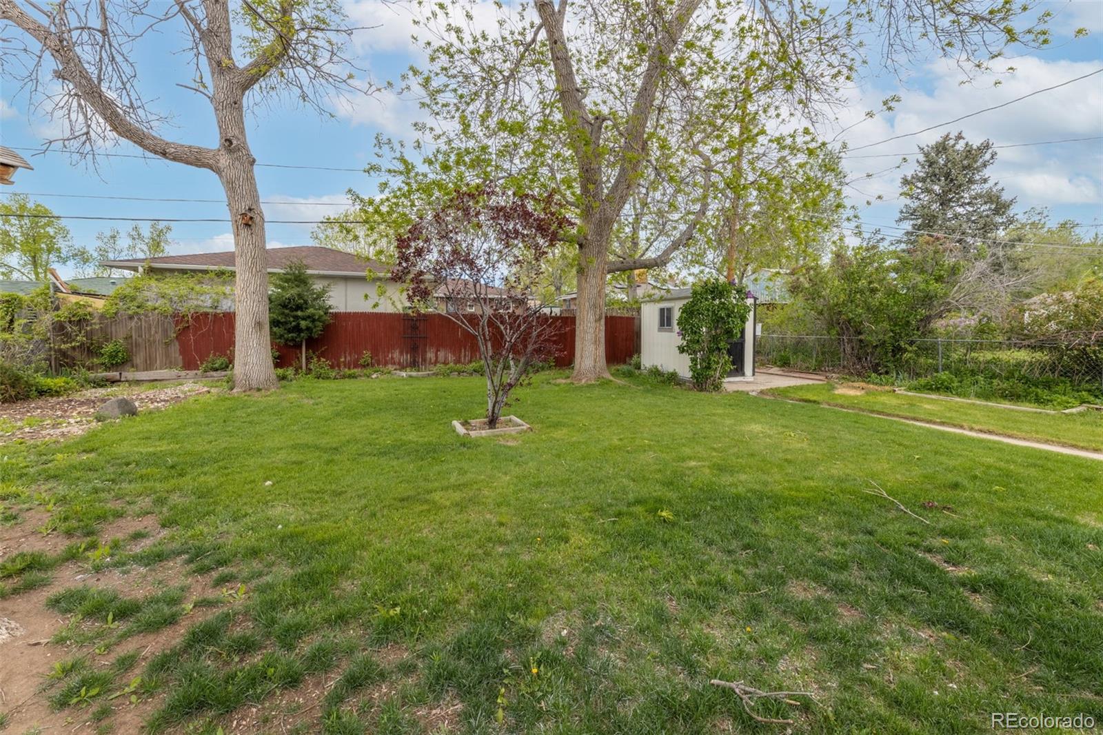 MLS Image #35 for 1675  raleigh street,denver, Colorado