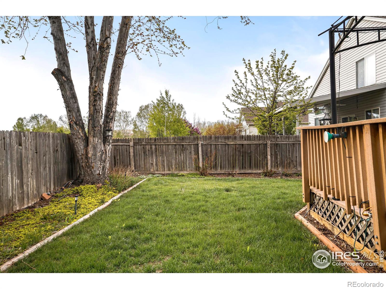 MLS Image #24 for 1728  clover creek drive,longmont, Colorado