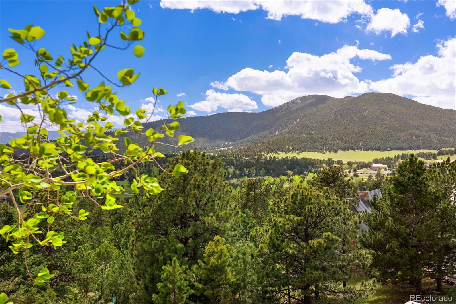 MLS Image #15 for 30903  buttermilk court,evergreen, Colorado