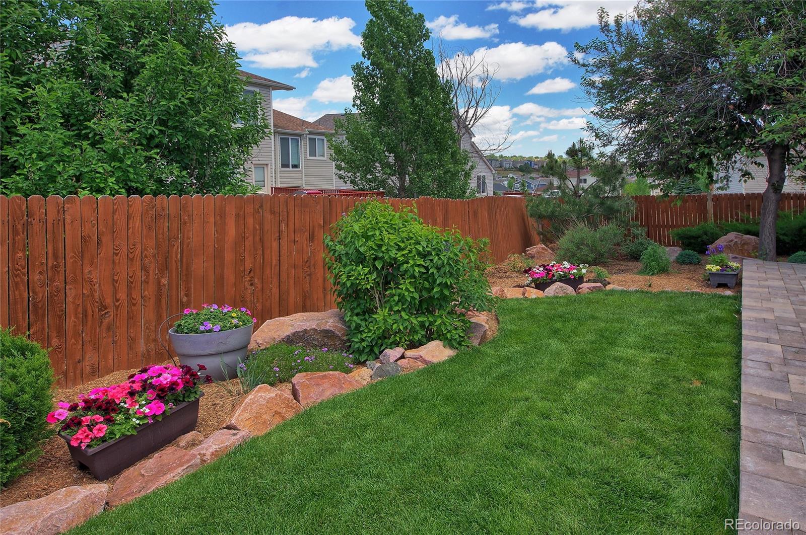 MLS Image #25 for 7346  brush hollow drive,fountain, Colorado