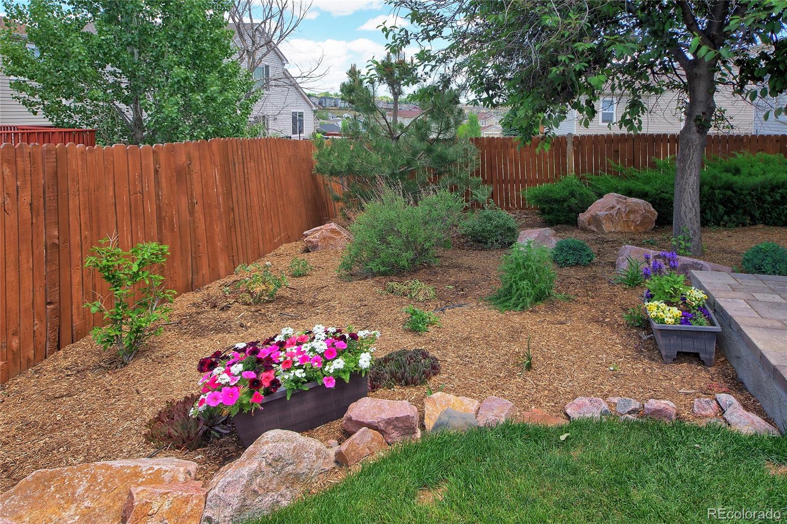 MLS Image #26 for 7346  brush hollow drive,fountain, Colorado