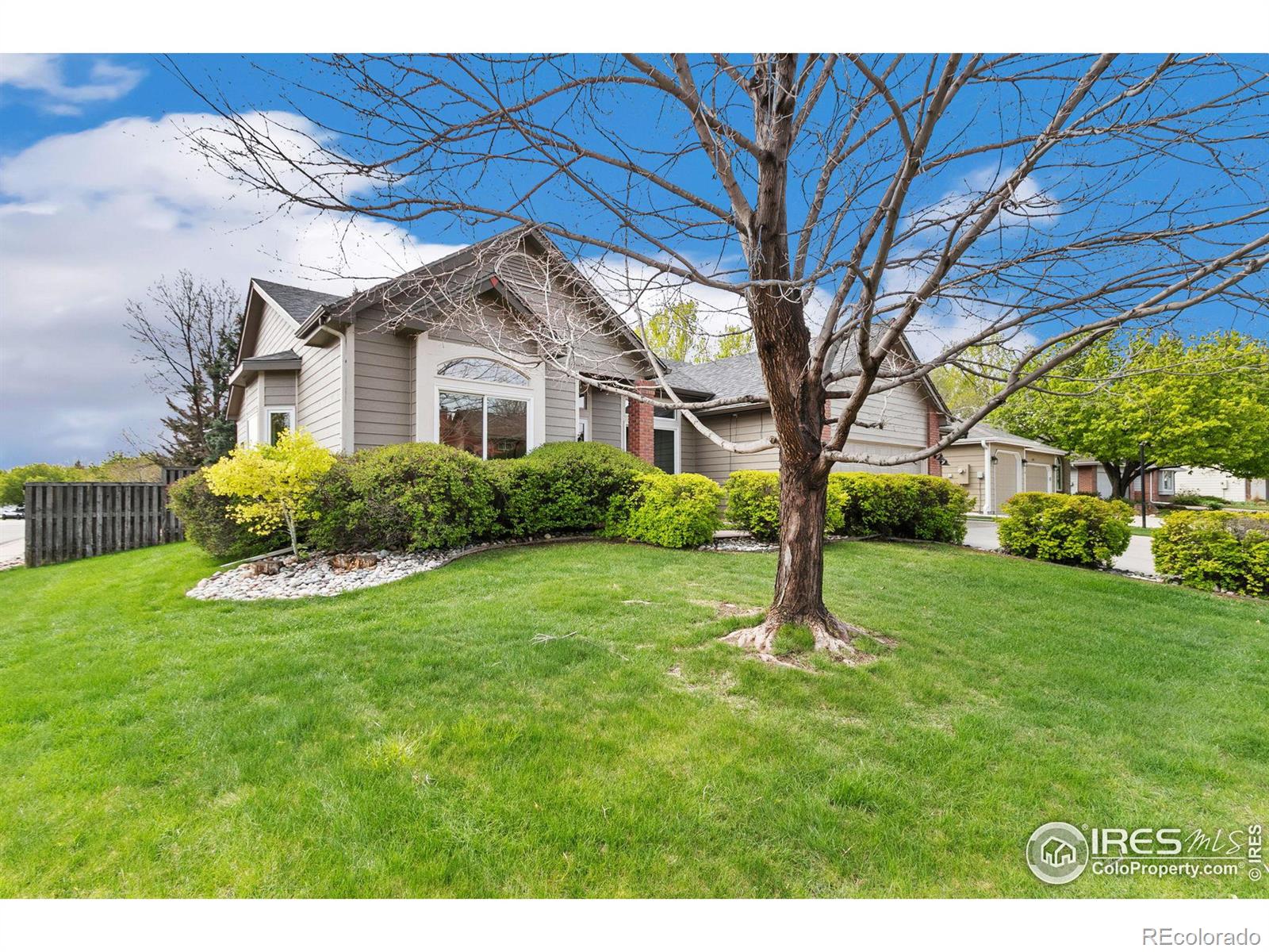 CMA Image for 1225  silk oak court,Fort Collins, Colorado