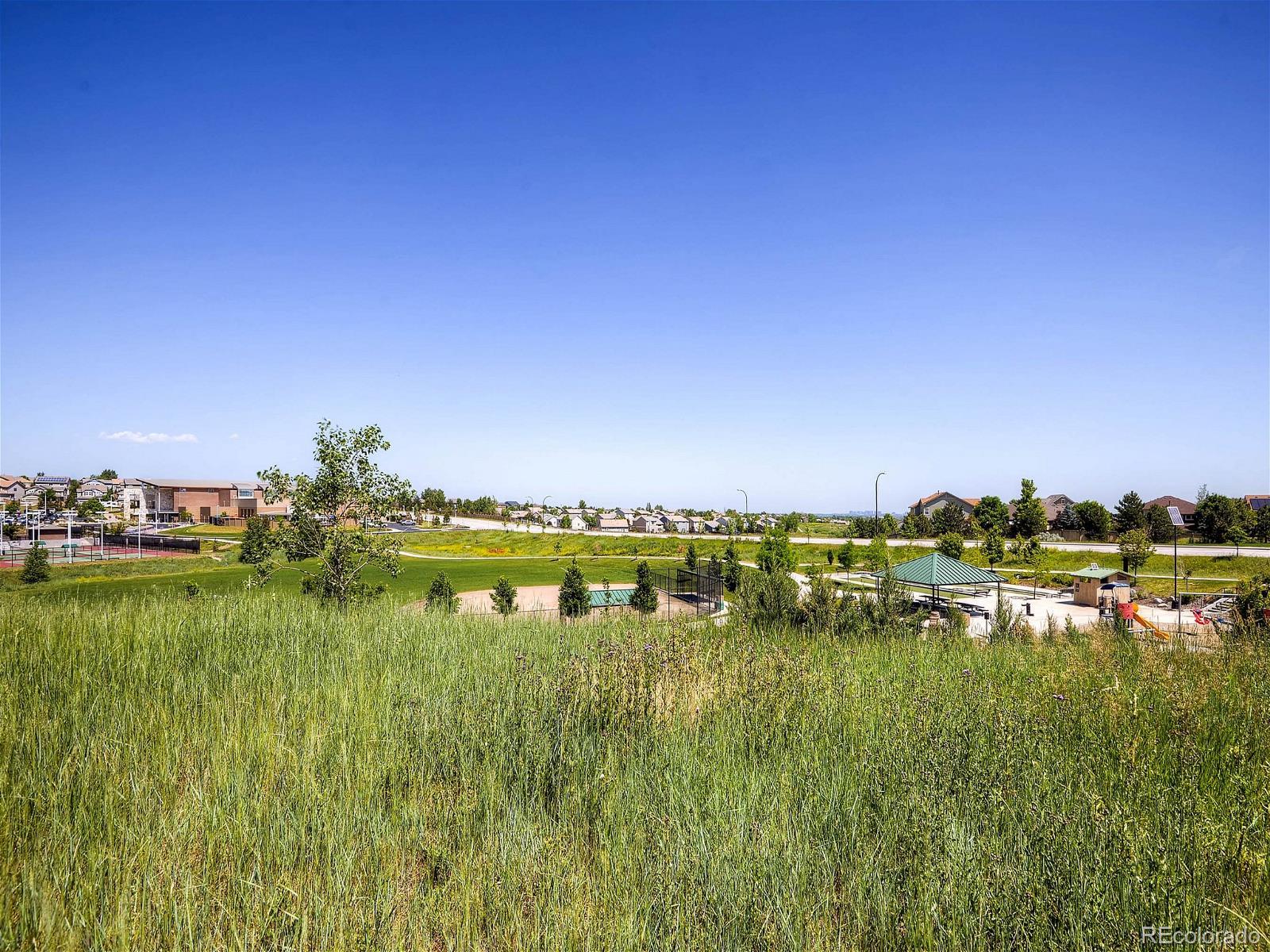 MLS Image #33 for 10833  huntwick street,highlands ranch, Colorado