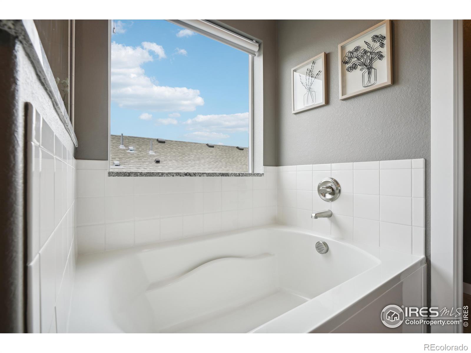 MLS Image #28 for 4262  martinson drive,loveland, Colorado