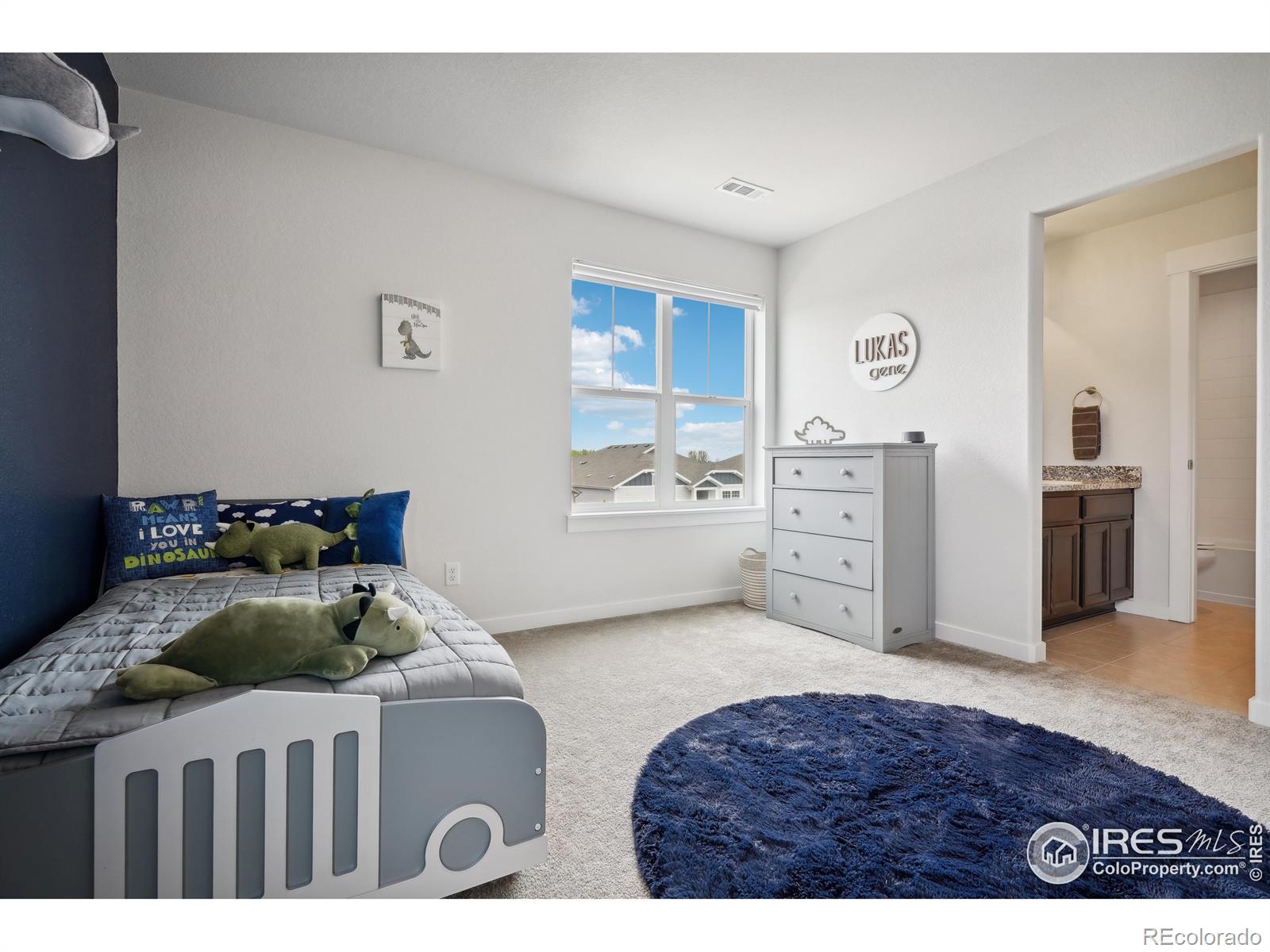 MLS Image #29 for 4262  martinson drive,loveland, Colorado