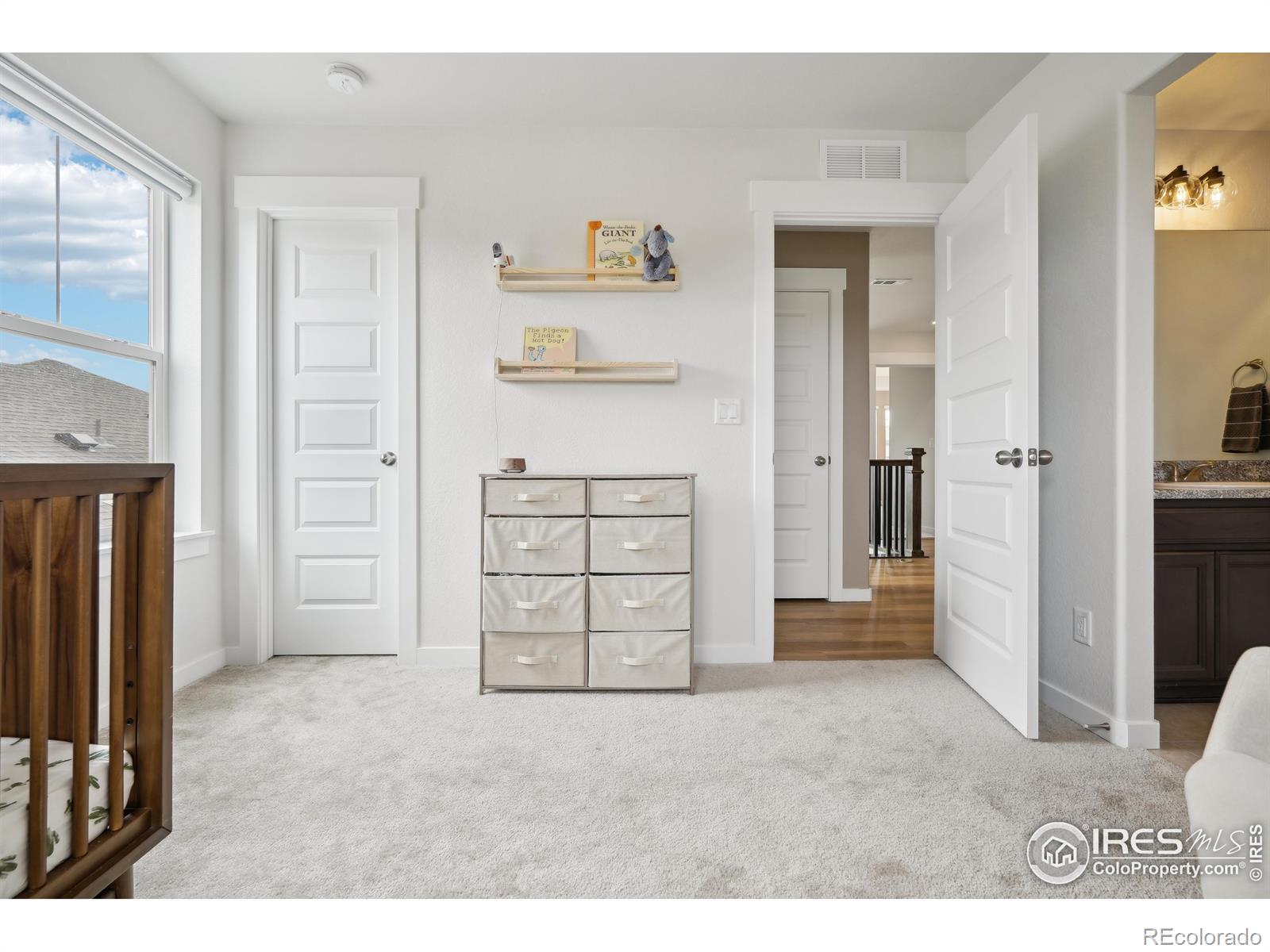 MLS Image #32 for 4262  martinson drive,loveland, Colorado