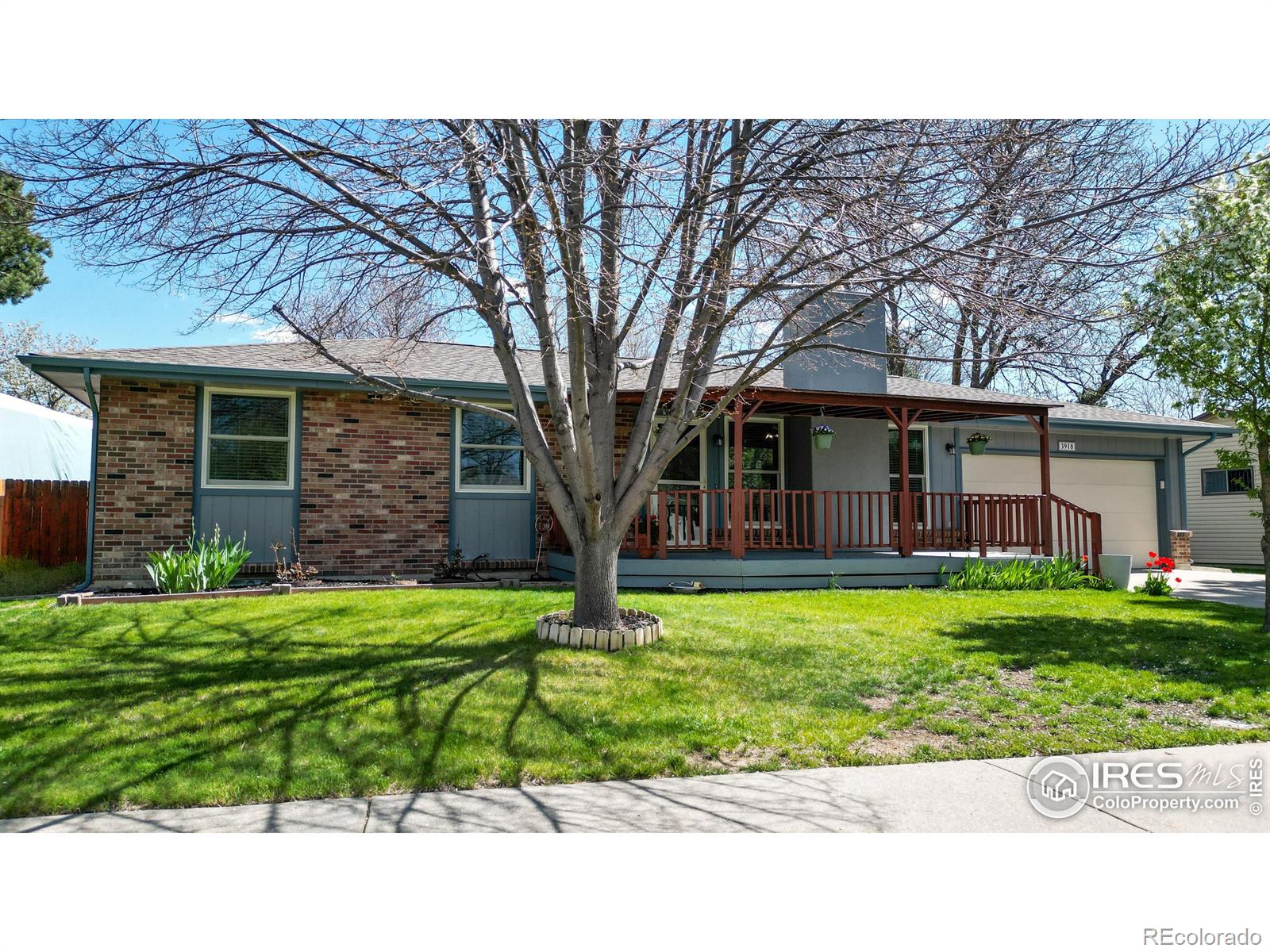 Report Image for 3918  Cottonwood Drive,Loveland, Colorado