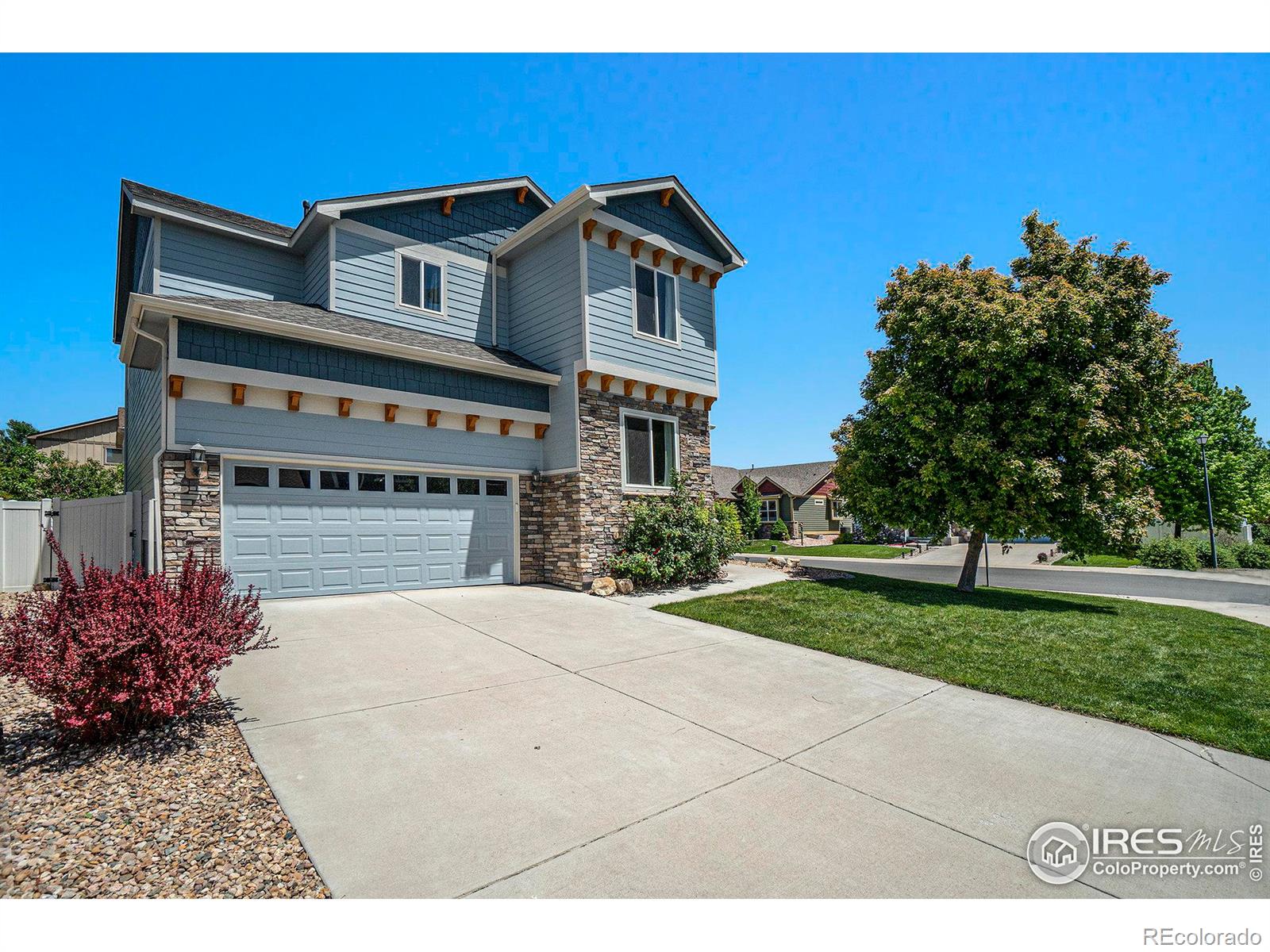 Report Image for 687  Dakota Way,Windsor, Colorado