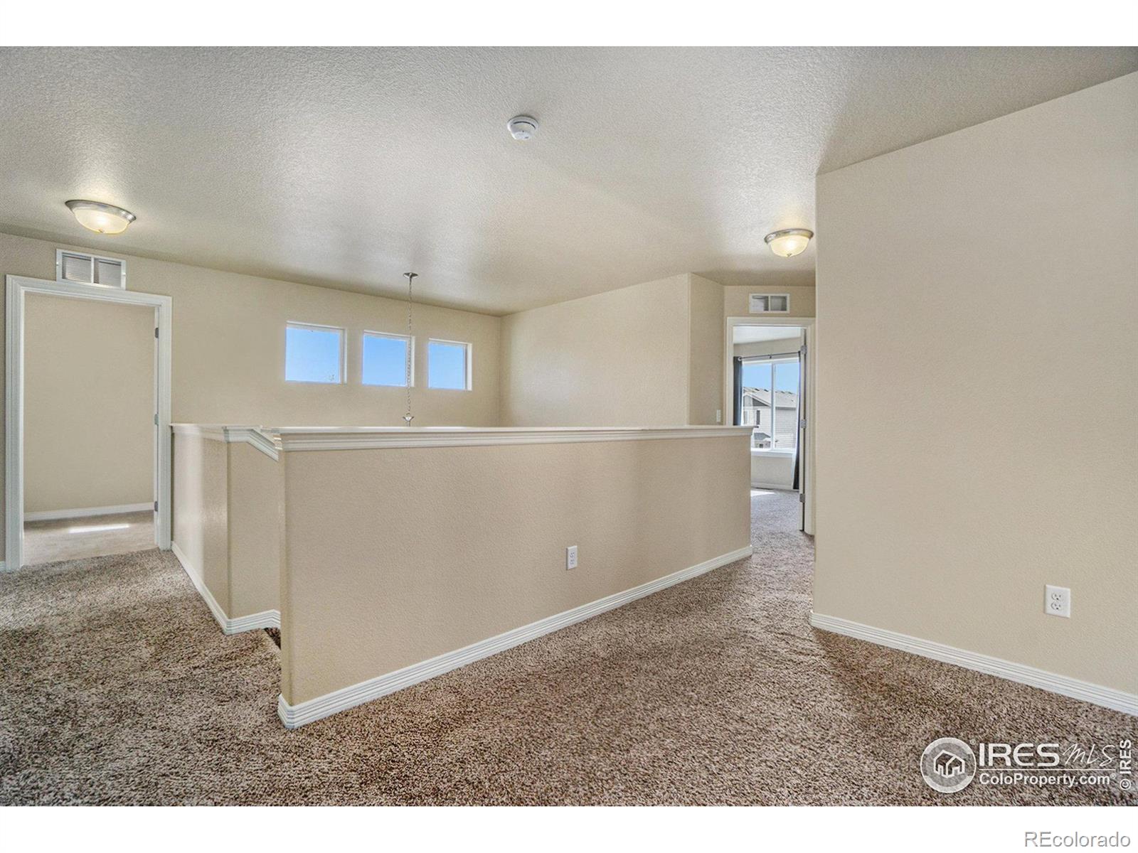 MLS Image #13 for 687  dakota way,windsor, Colorado