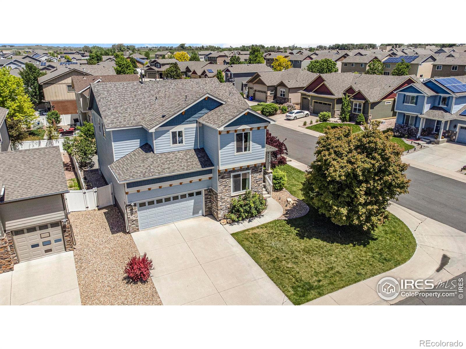 MLS Image #30 for 687  dakota way,windsor, Colorado