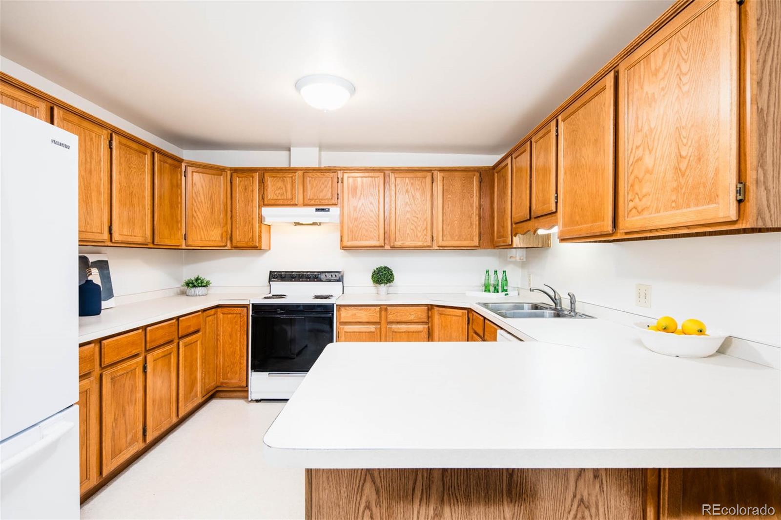 MLS Image #8 for 4124  zuni street,denver, Colorado