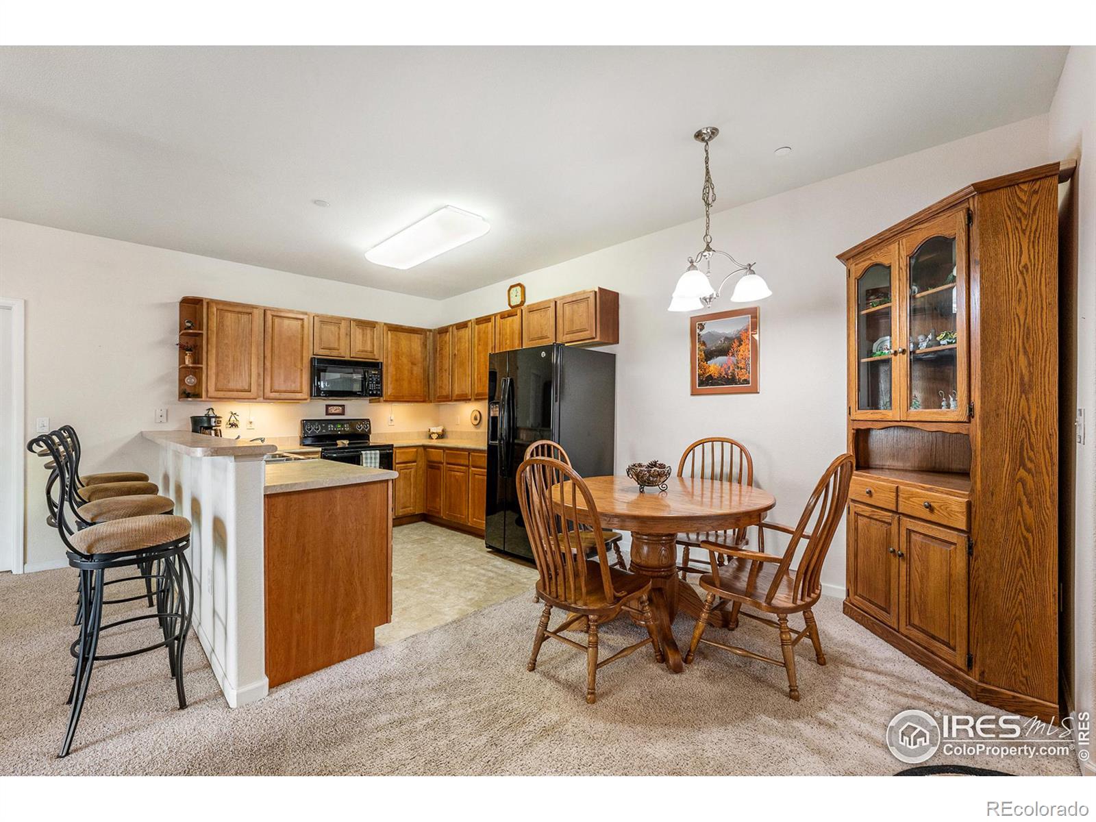 MLS Image #3 for 4815  hahns peak drive,loveland, Colorado