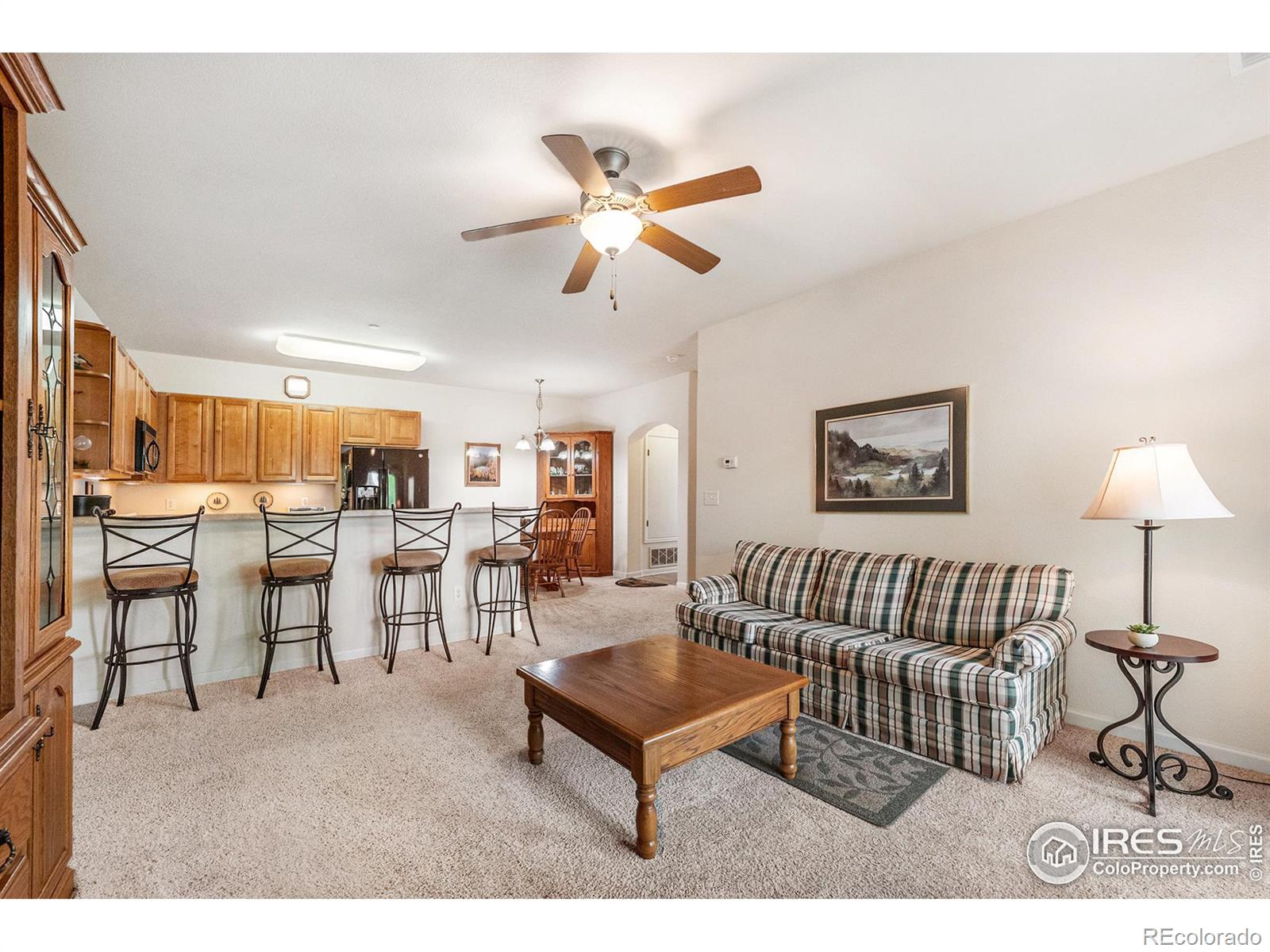 MLS Image #7 for 4815  hahns peak drive,loveland, Colorado