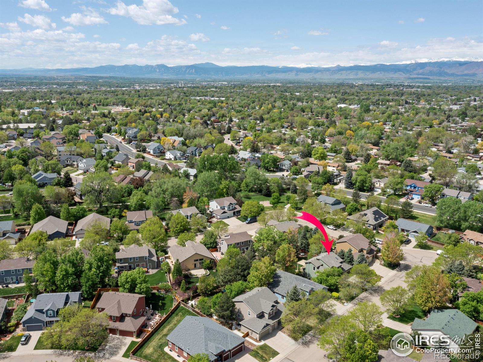 MLS Image #5 for 523  folklore avenue,longmont, Colorado