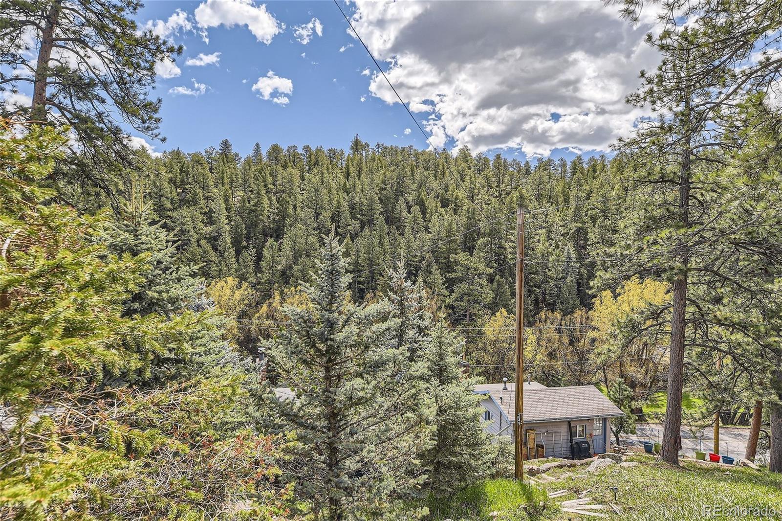 MLS Image #24 for 4849 s blue spruce road,evergreen, Colorado