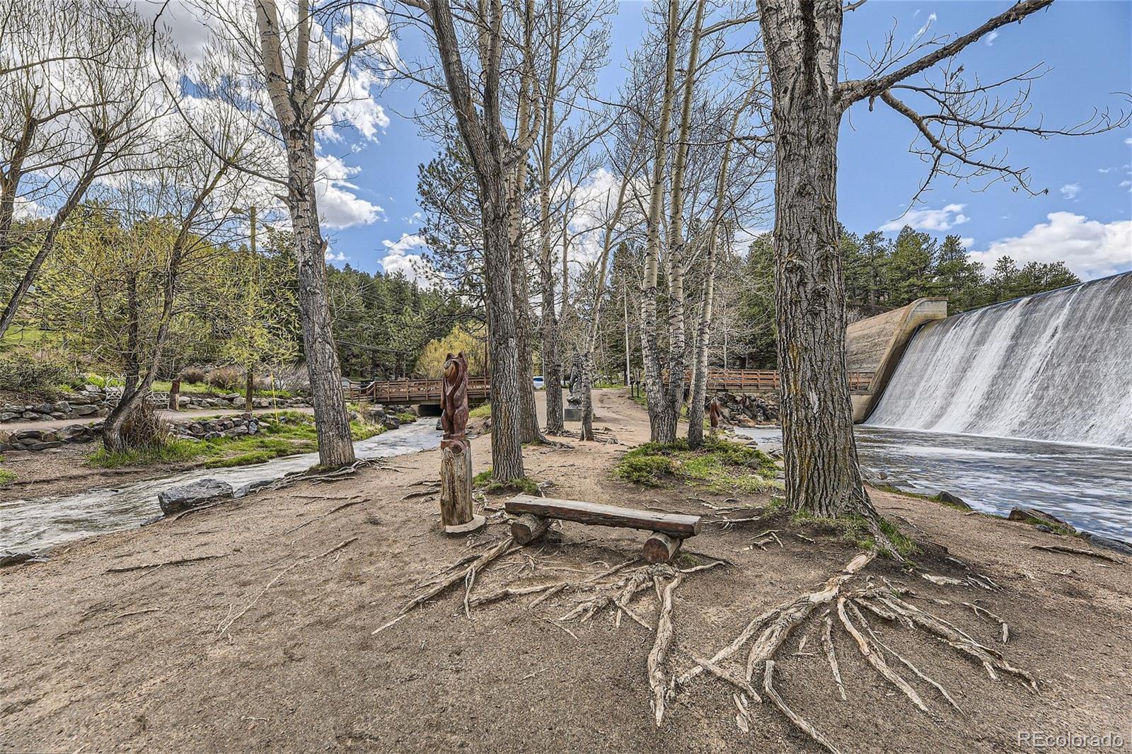 MLS Image #29 for 4849 s blue spruce road,evergreen, Colorado