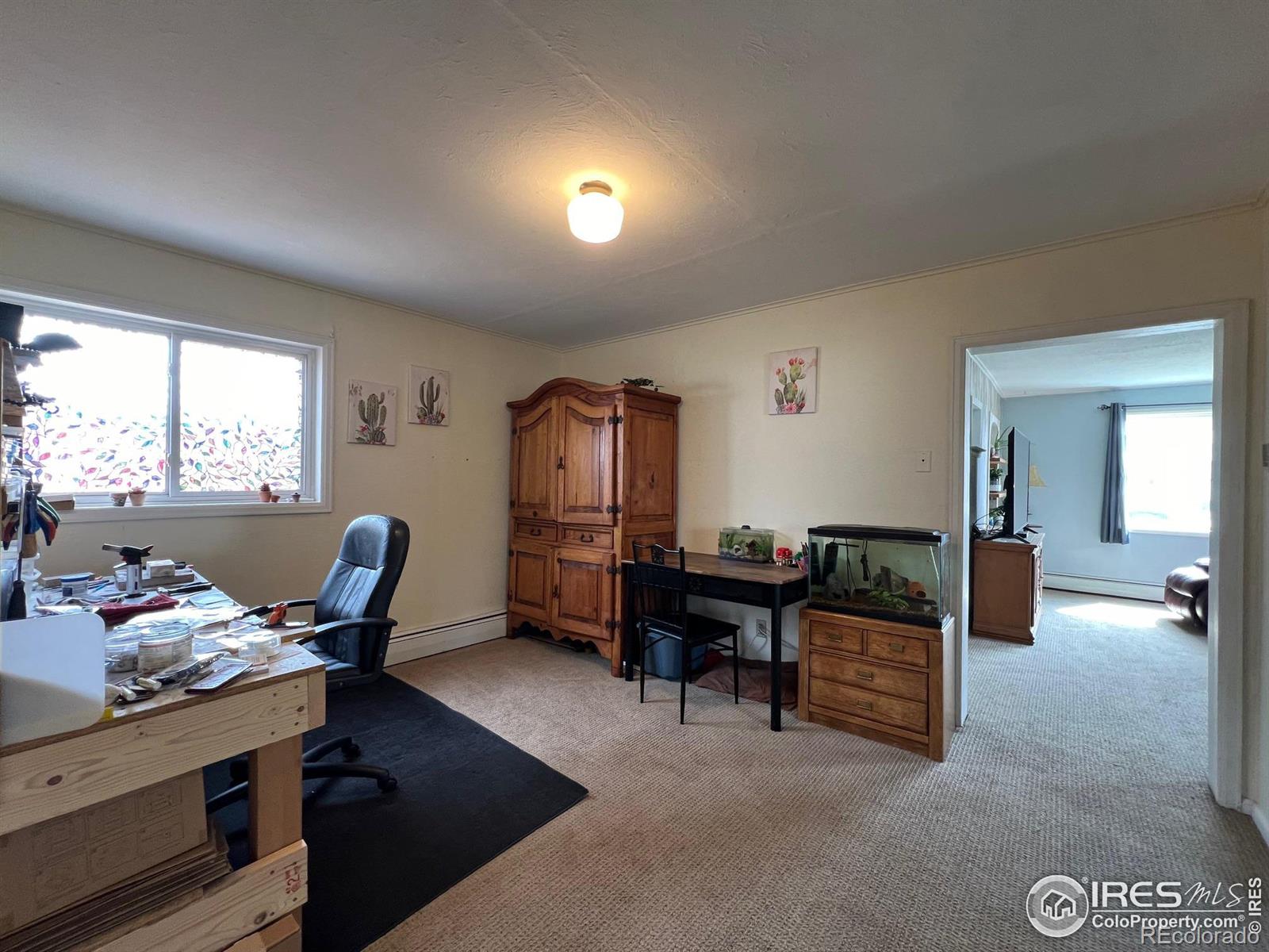 MLS Image #9 for 540  mckinley street,walden, Colorado