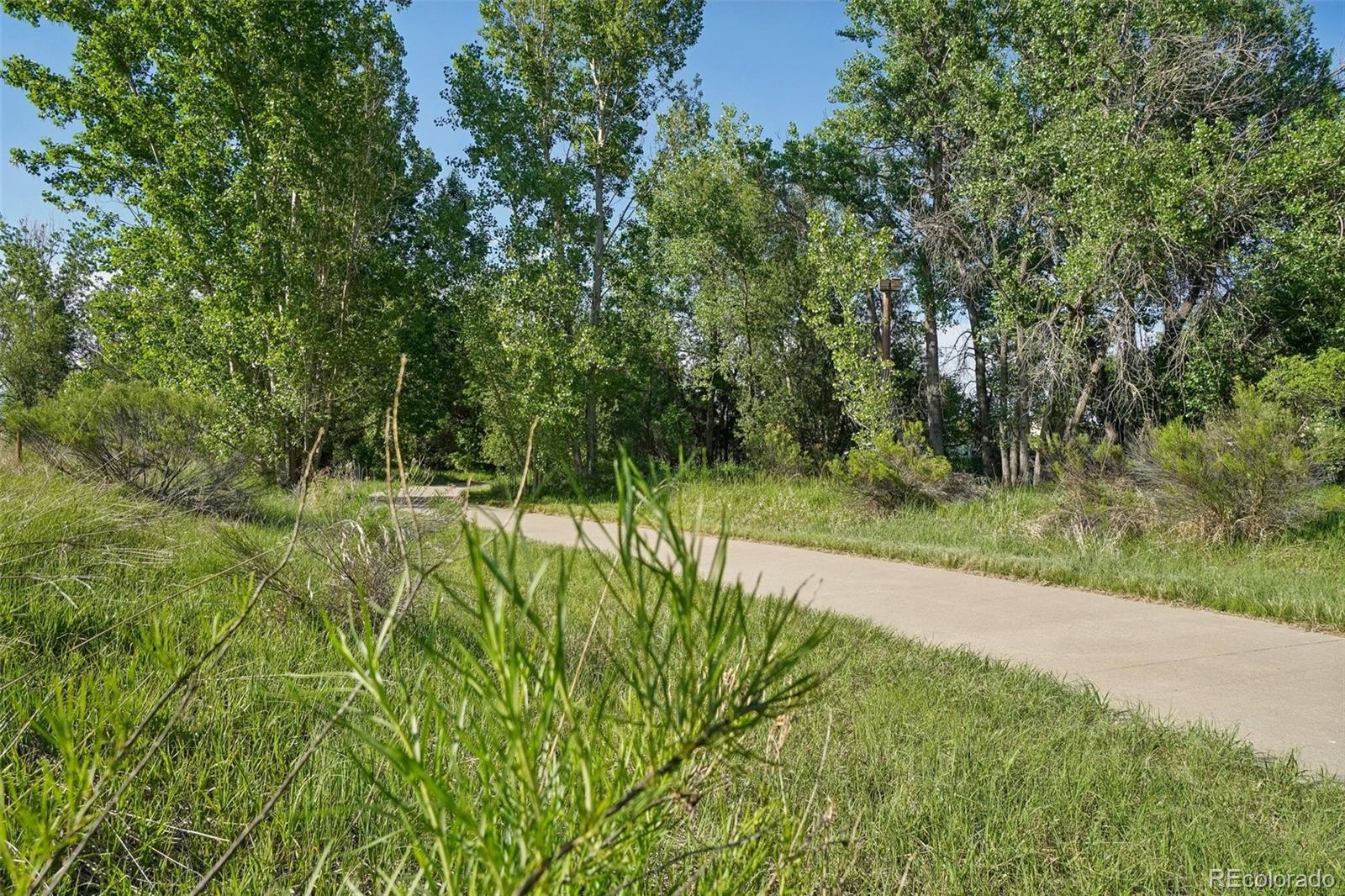 MLS Image #37 for 6603  4th street road,greeley, Colorado