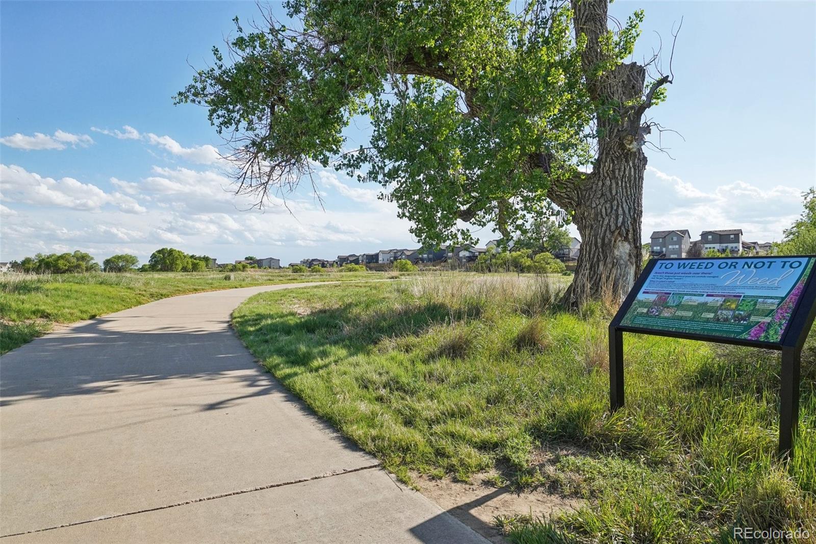 MLS Image #39 for 6603  4th street road,greeley, Colorado